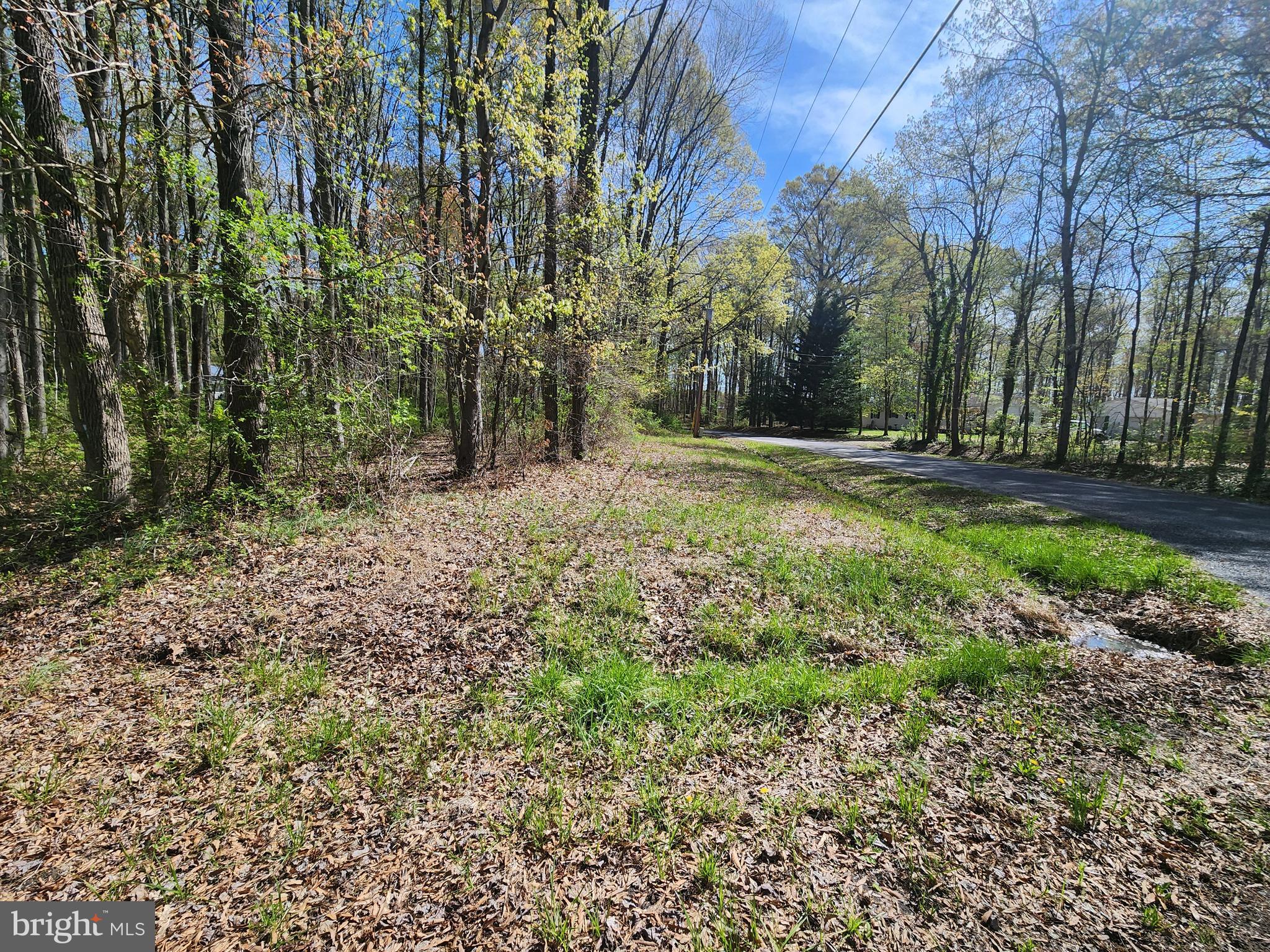 BUNTING ROAD