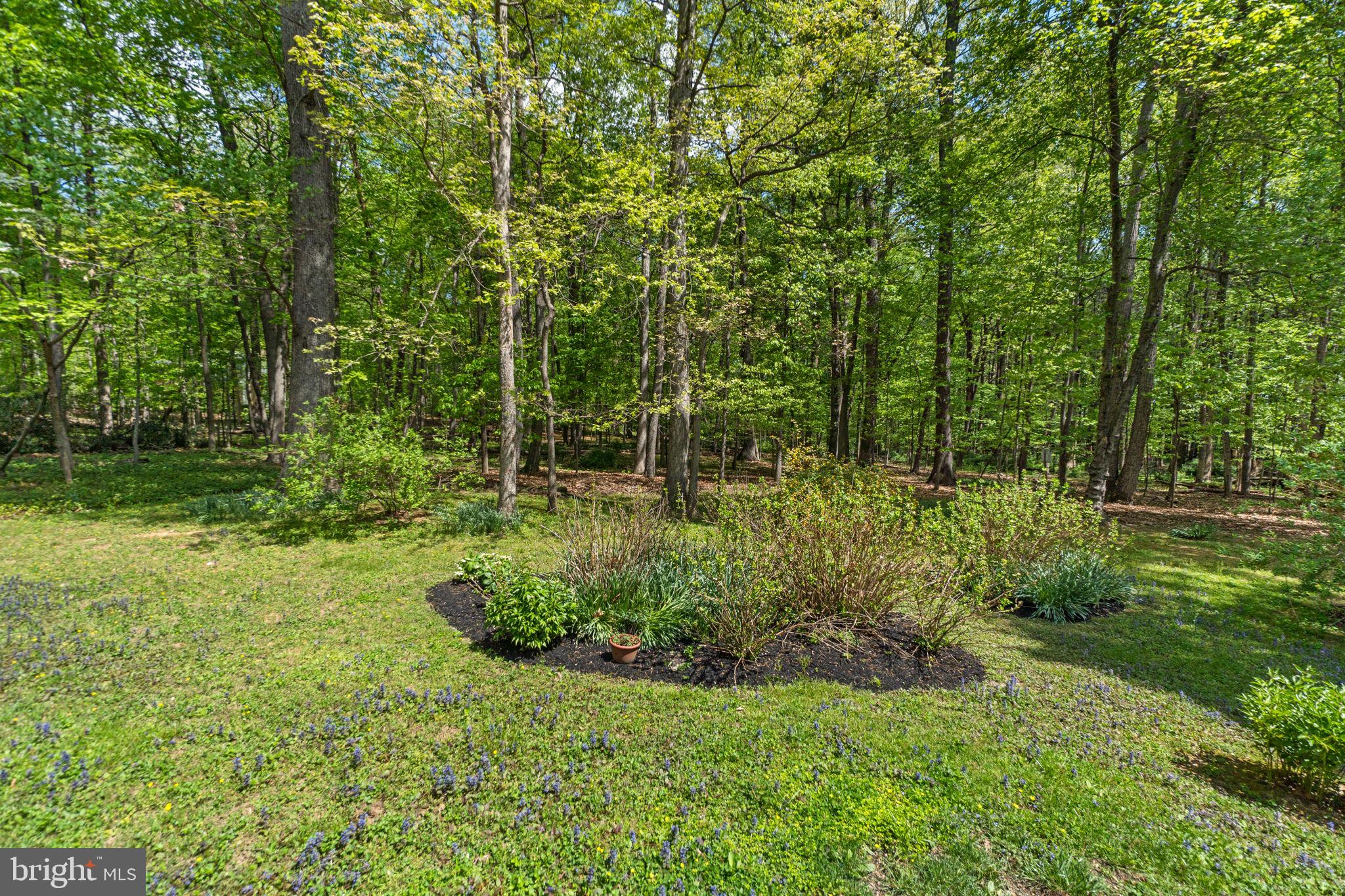 17486 TIMBERLEIGH WAY