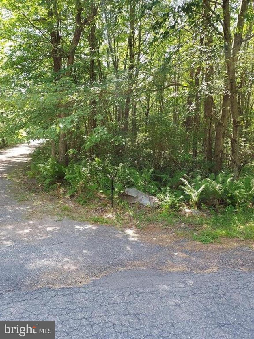 Two Building Lots for the price of One. Two parcels being sold together. Each lot is Half Acre +/- wooded lots. One on corner of Sycamore Drive and Lauren with road frontage on two sides. The other is an interior lot adjoining. Escape to the Mountains. Enjoy seeing deer right in your yard here. Quick Commute to Lehigh
Valley, only 5 Min to Pa Turnpike Entrance. Short drive to NYC and Philadelphia. Vacation Here, just minutes to all Pocono Attractions, Multiple Ski Areas, and Golf Courses.