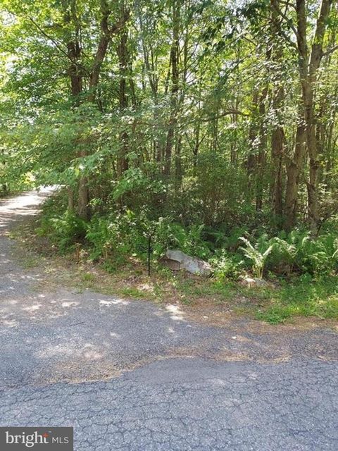 Vacant Land For Sale - N Sycamore & Lauan Lane #B193  B194<br/> JIM THORPE, PA 18229