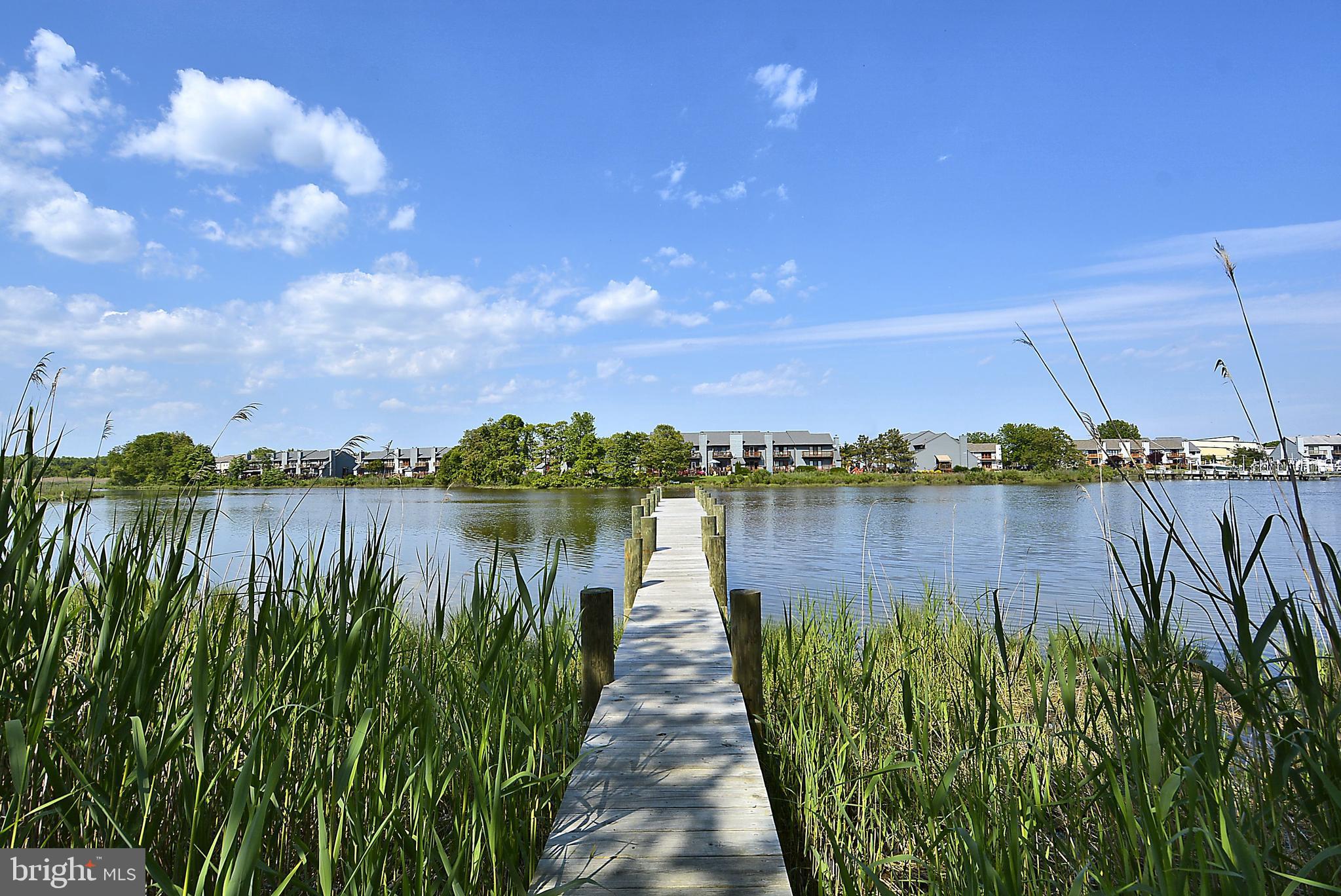 ELLENDALE - Residential