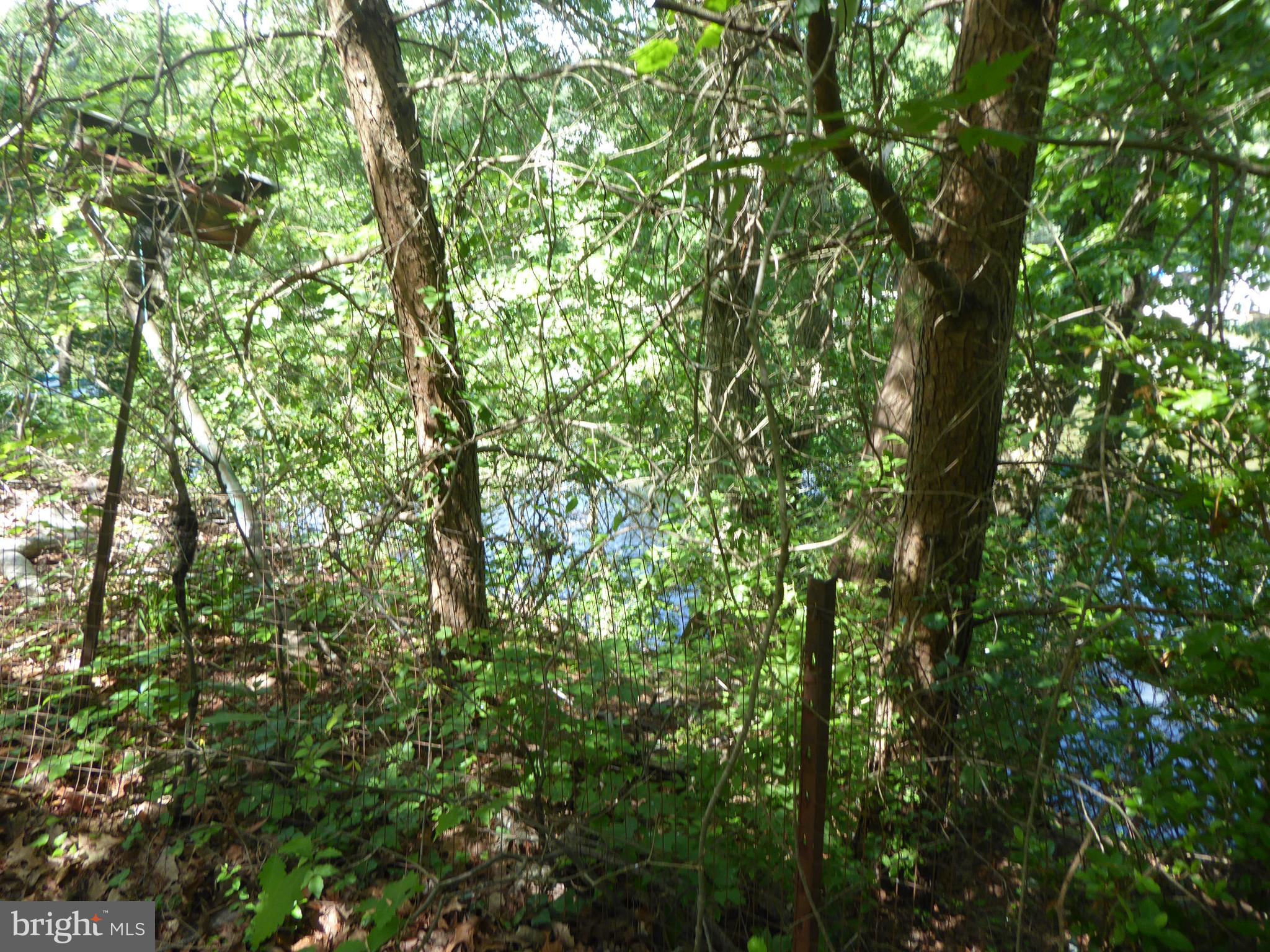 FOREST GLEN - Residential