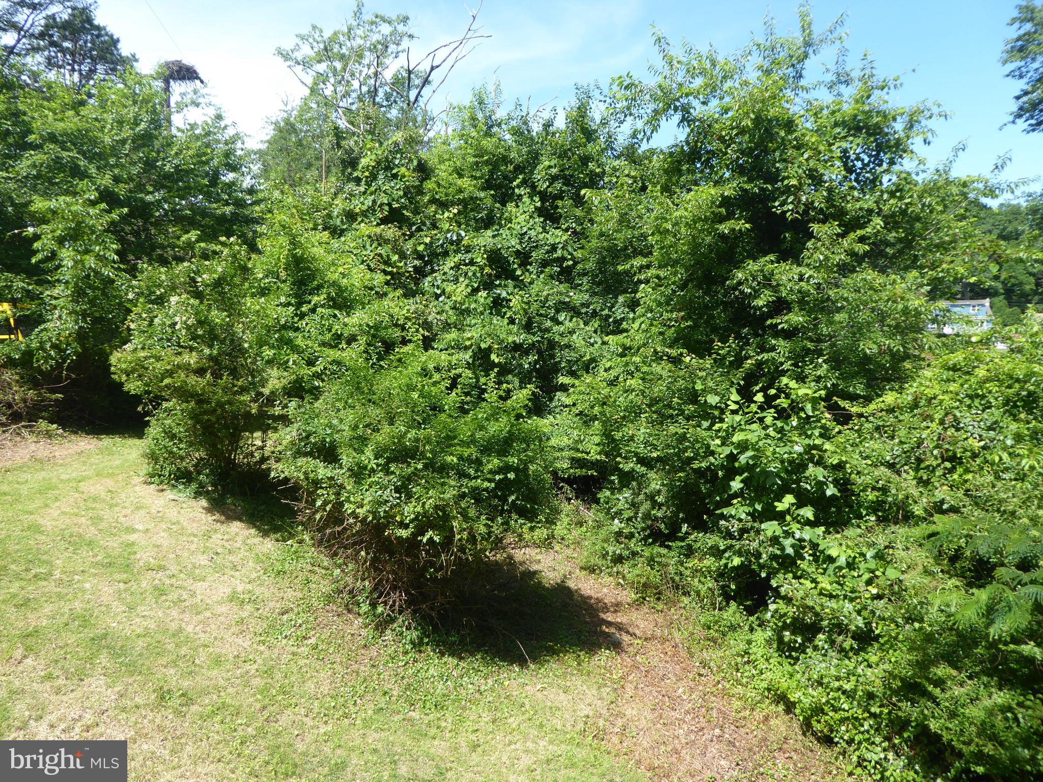 FOREST GLEN - Residential