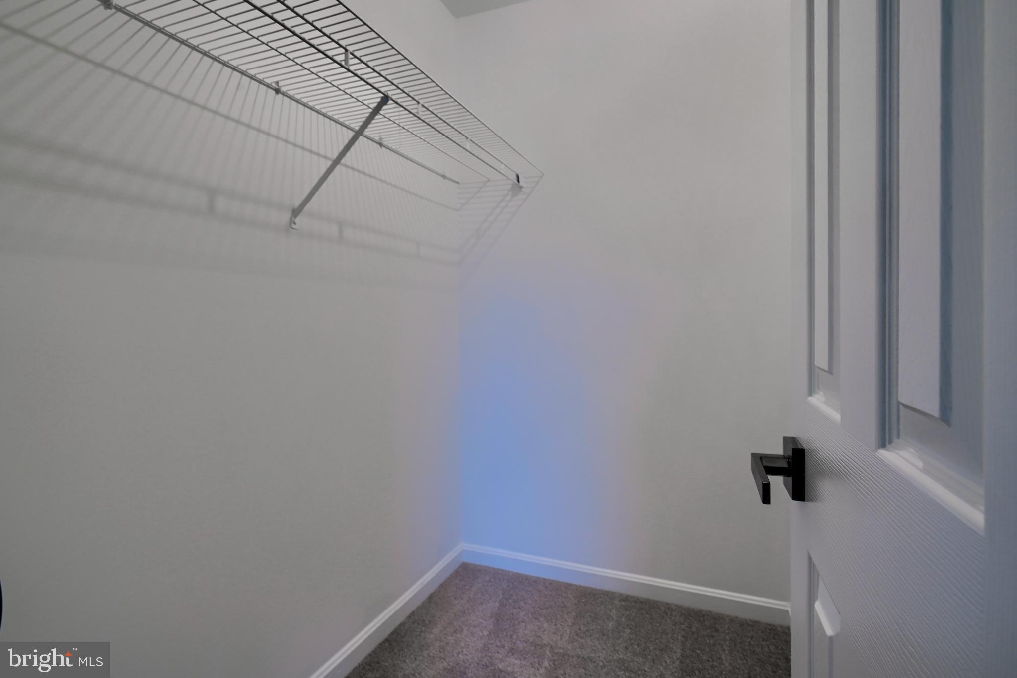 CONSTANT FRIENDSHIP - Residential