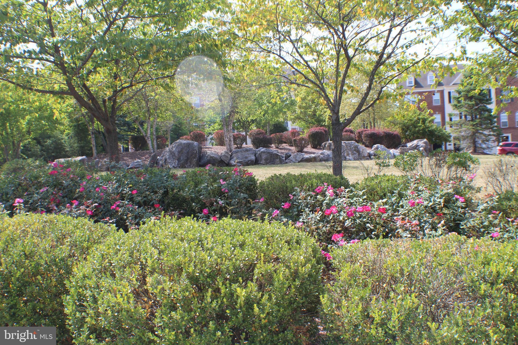 MARTINSBURG STATION - Residential