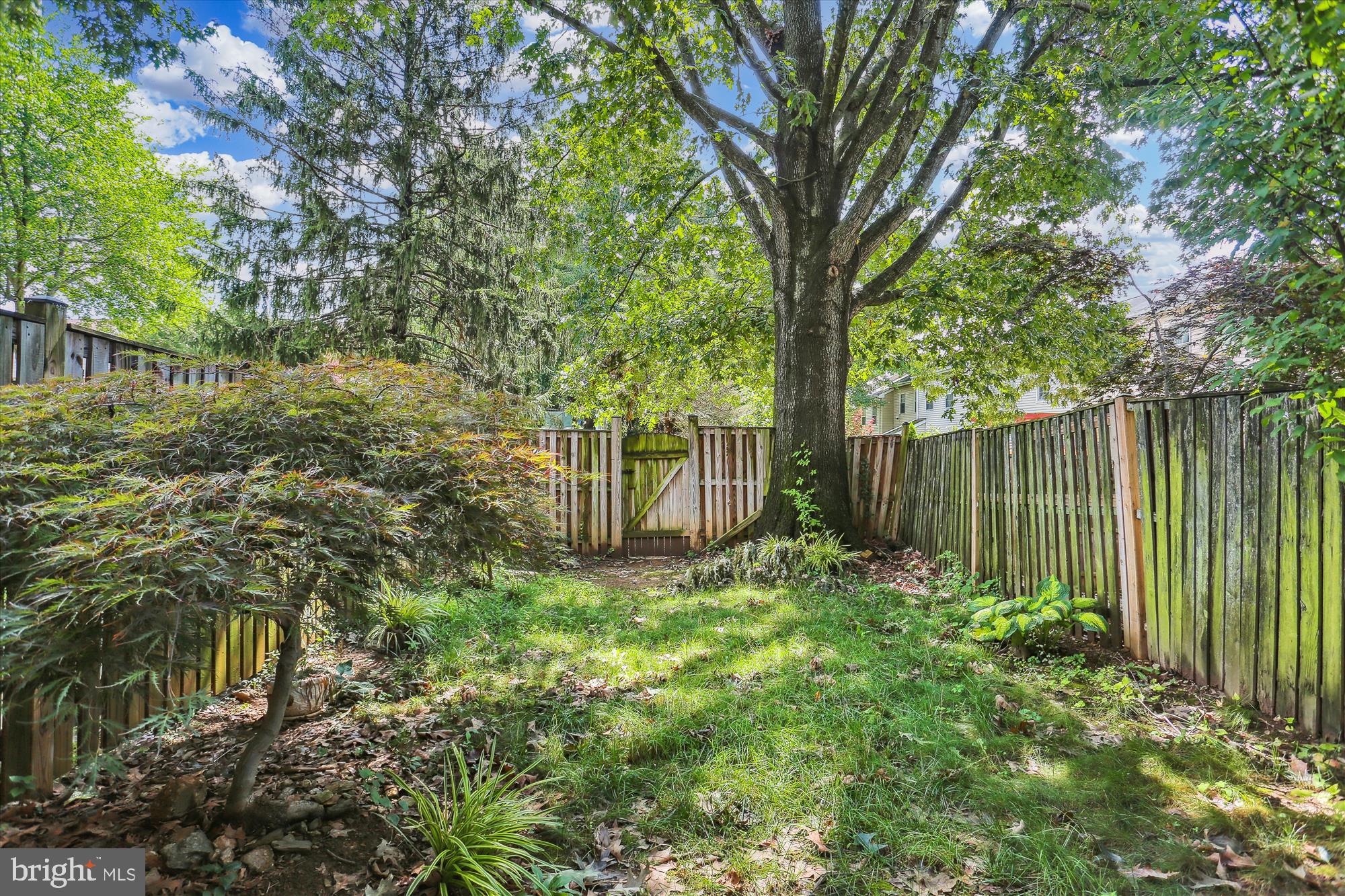 THE COLONY - Residential Lease