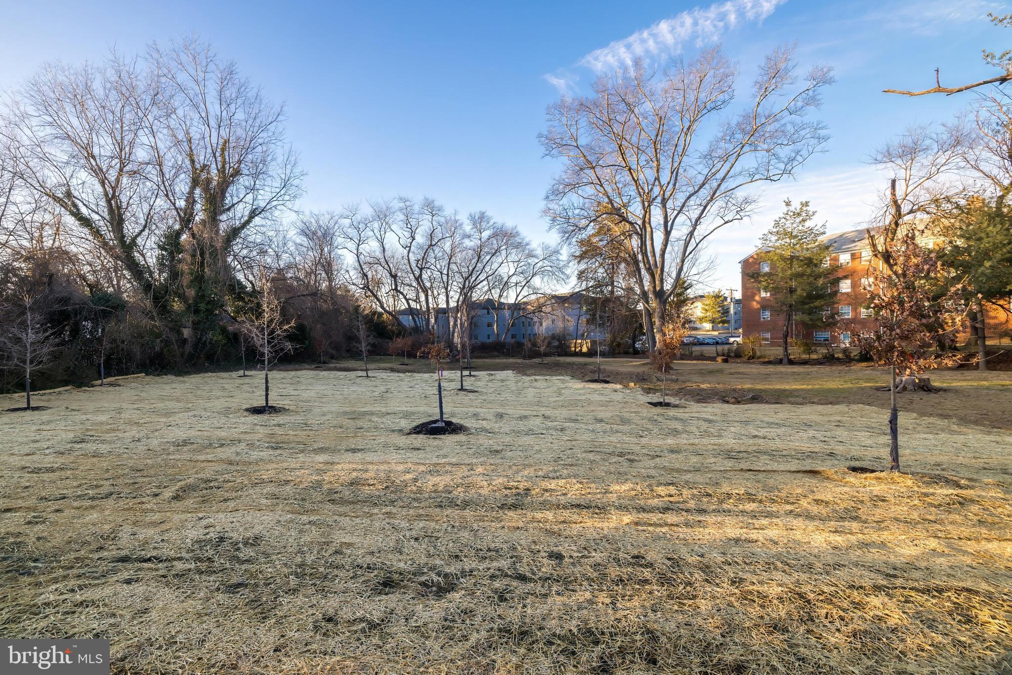 COURTLAND PARK - Residential