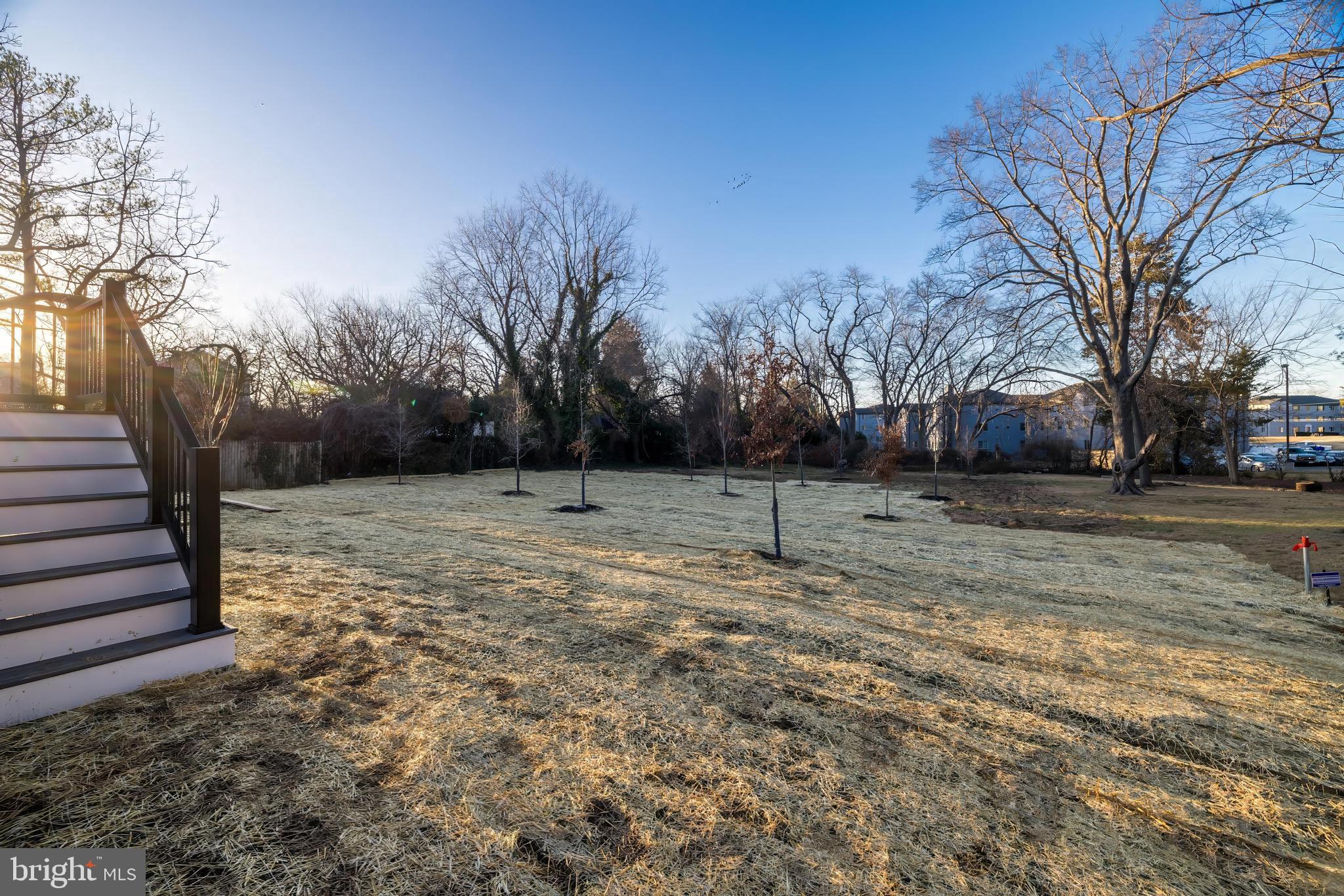 COURTLAND PARK - Residential