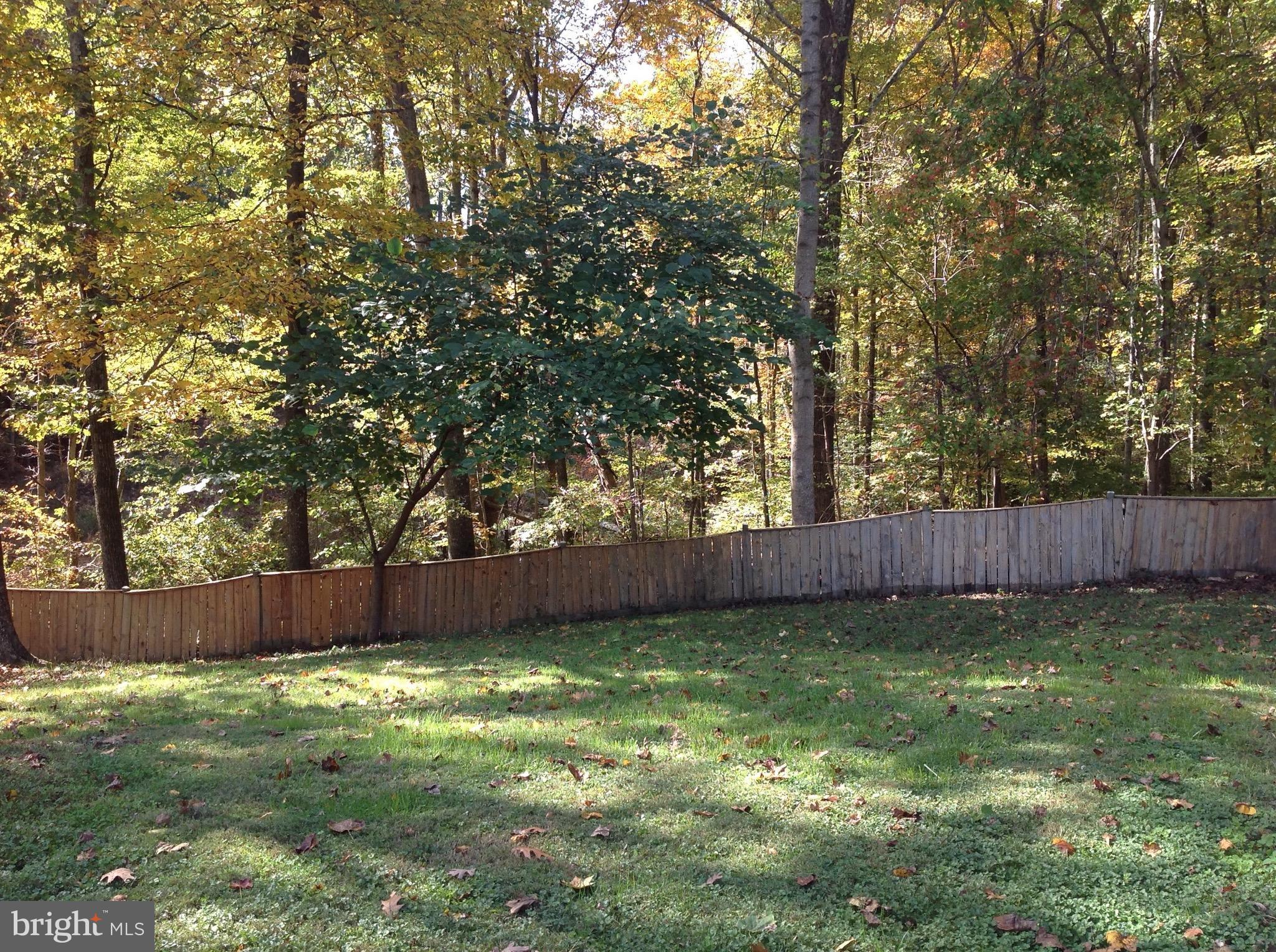 LAKE RIDGE - Residential Lease