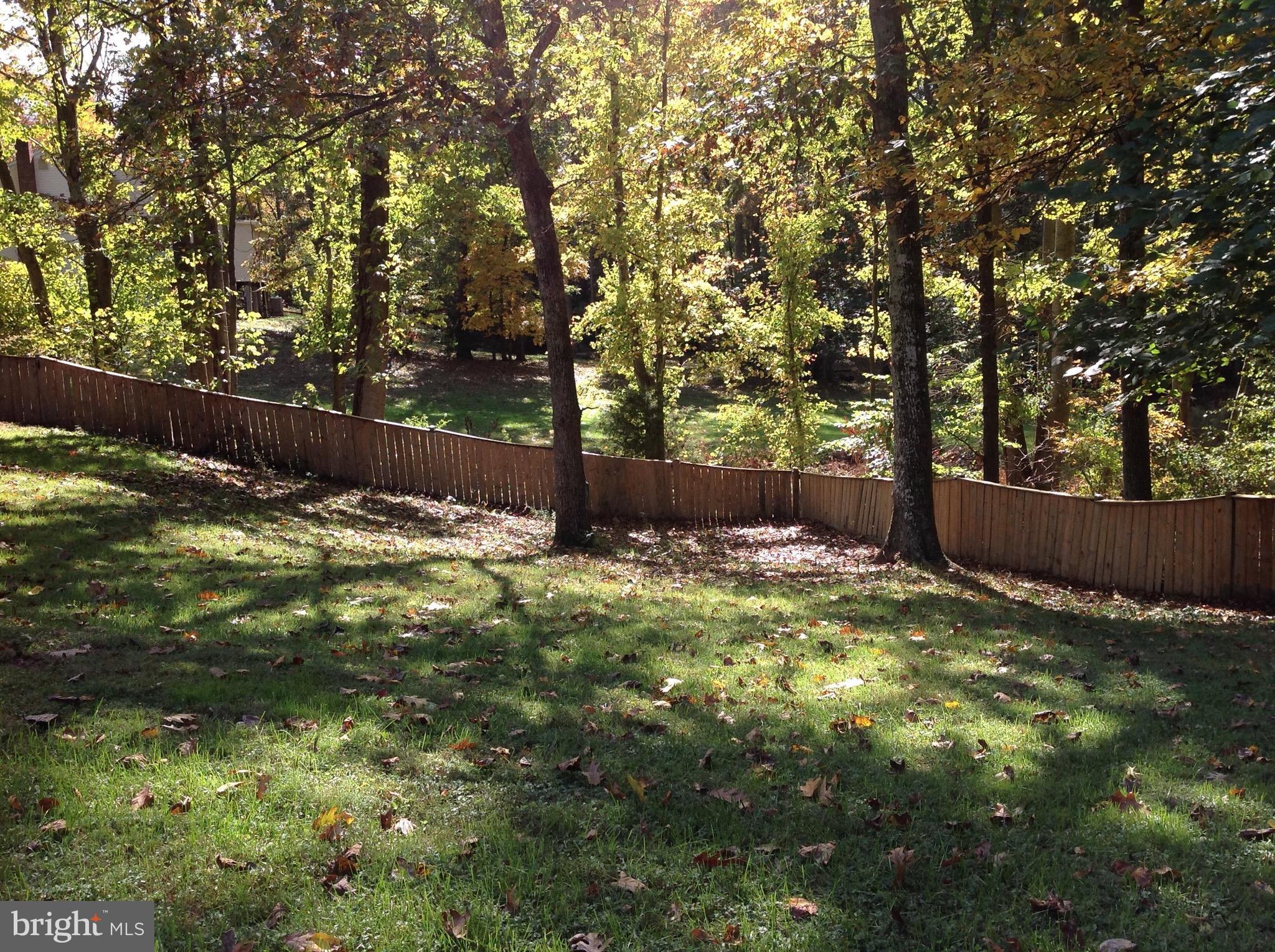 LAKE RIDGE - Residential Lease