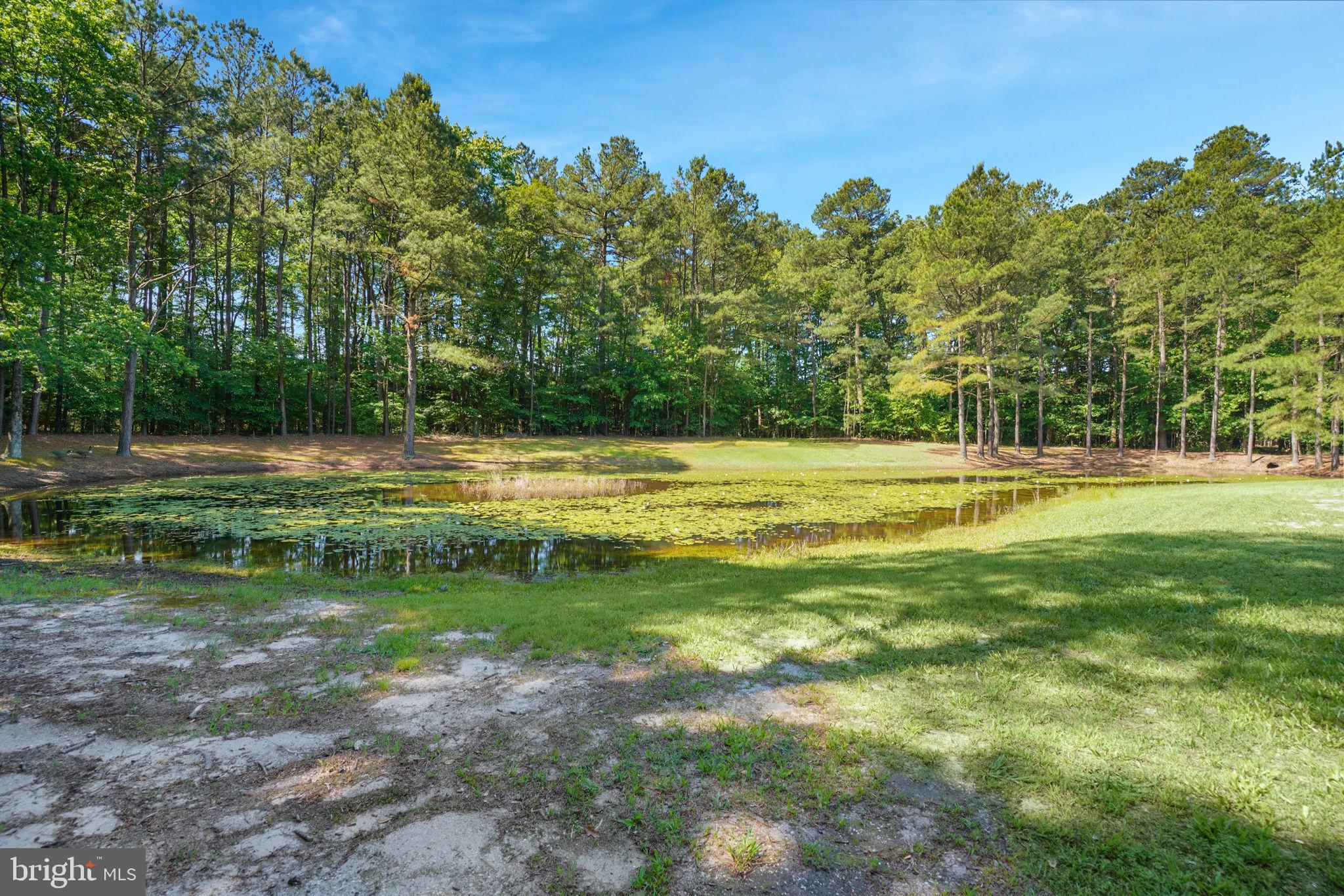 NEW BRIDGE HAVEN - Residential