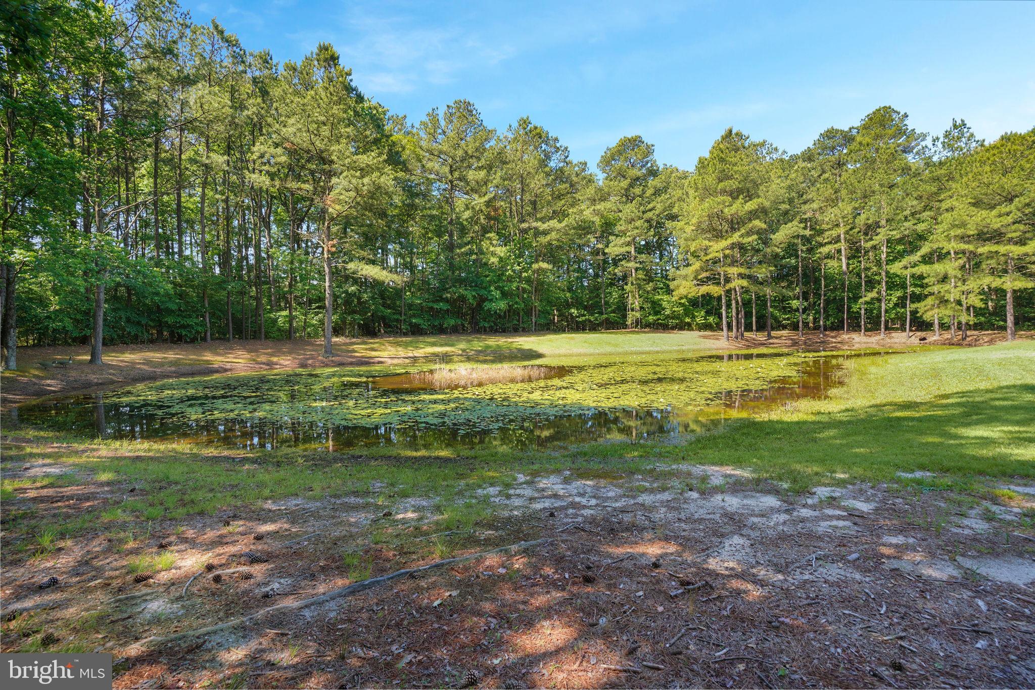 NEW BRIDGE HAVEN - Residential