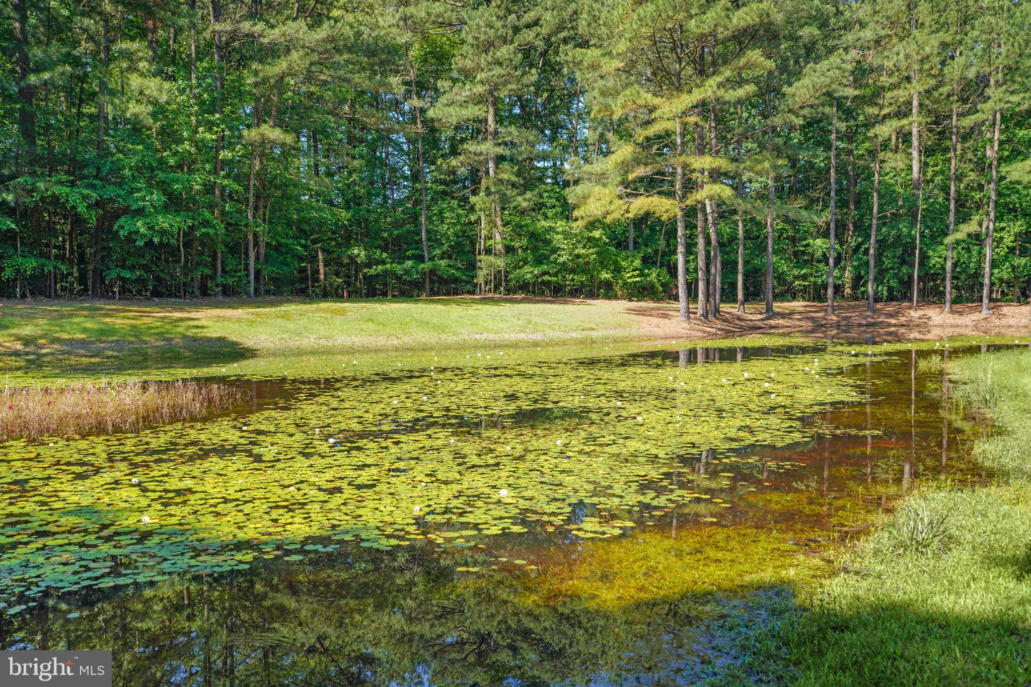 NEW BRIDGE HAVEN - Residential