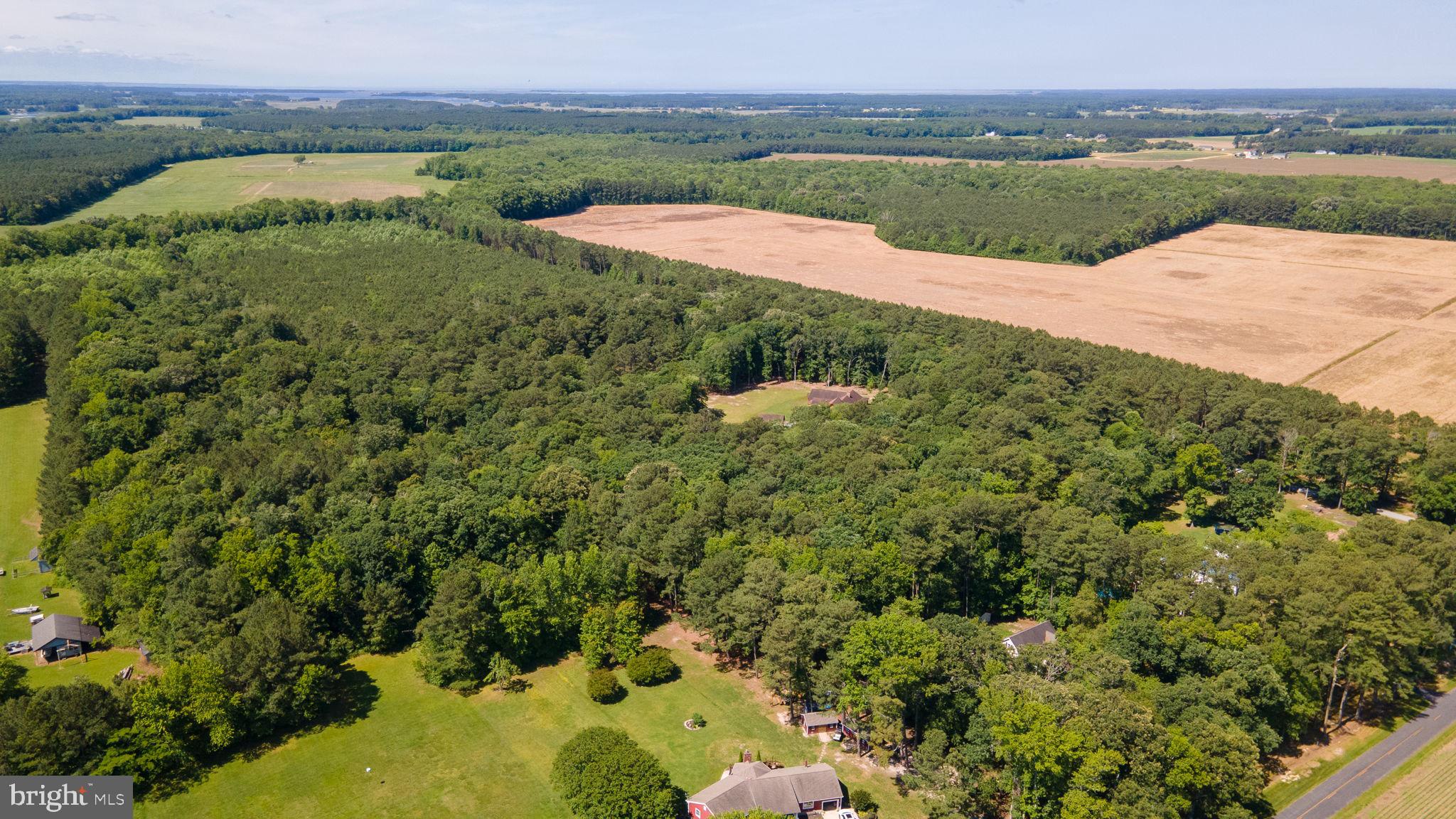 NEW BRIDGE HAVEN - Residential