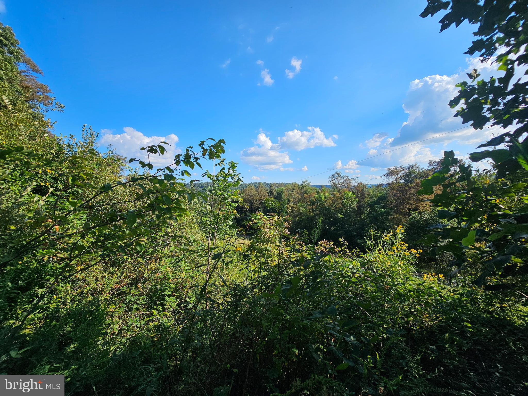 770 MYERS ROAD