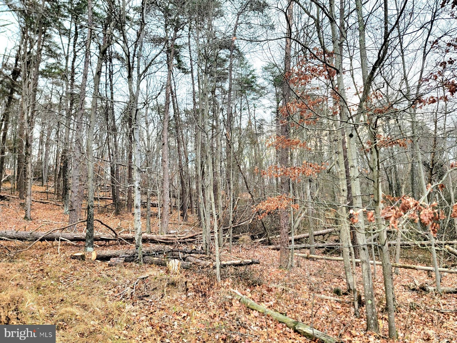 OAKLAND HILLS - Land