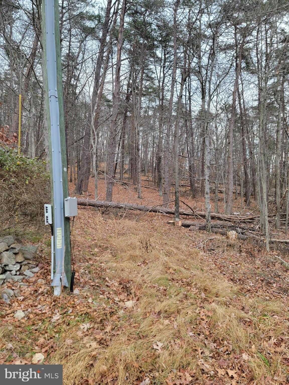 OAKLAND HILLS - Land