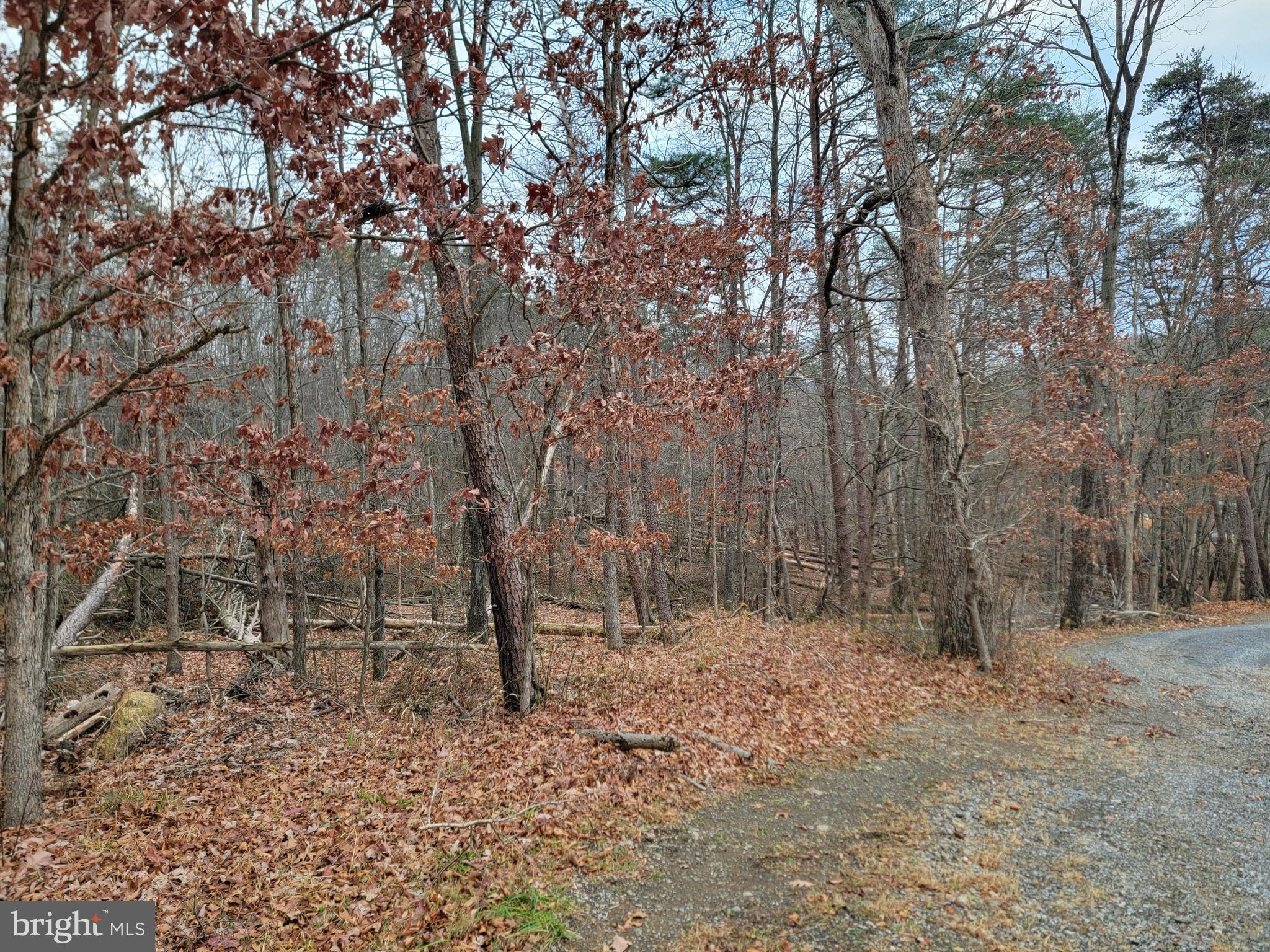 OAKLAND HILLS - Land