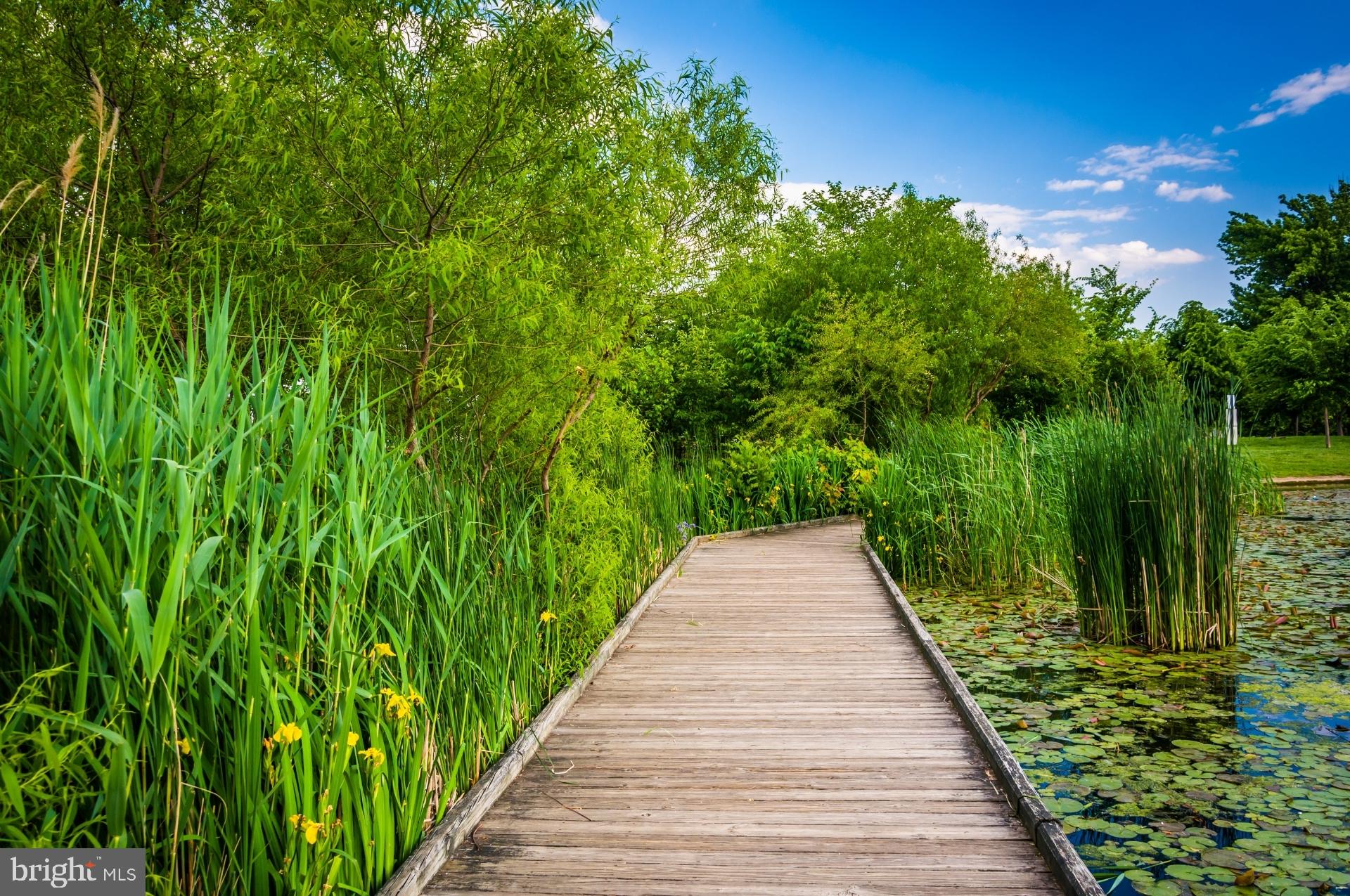 FELLS POINT HISTORIC DISTRICT - Residential