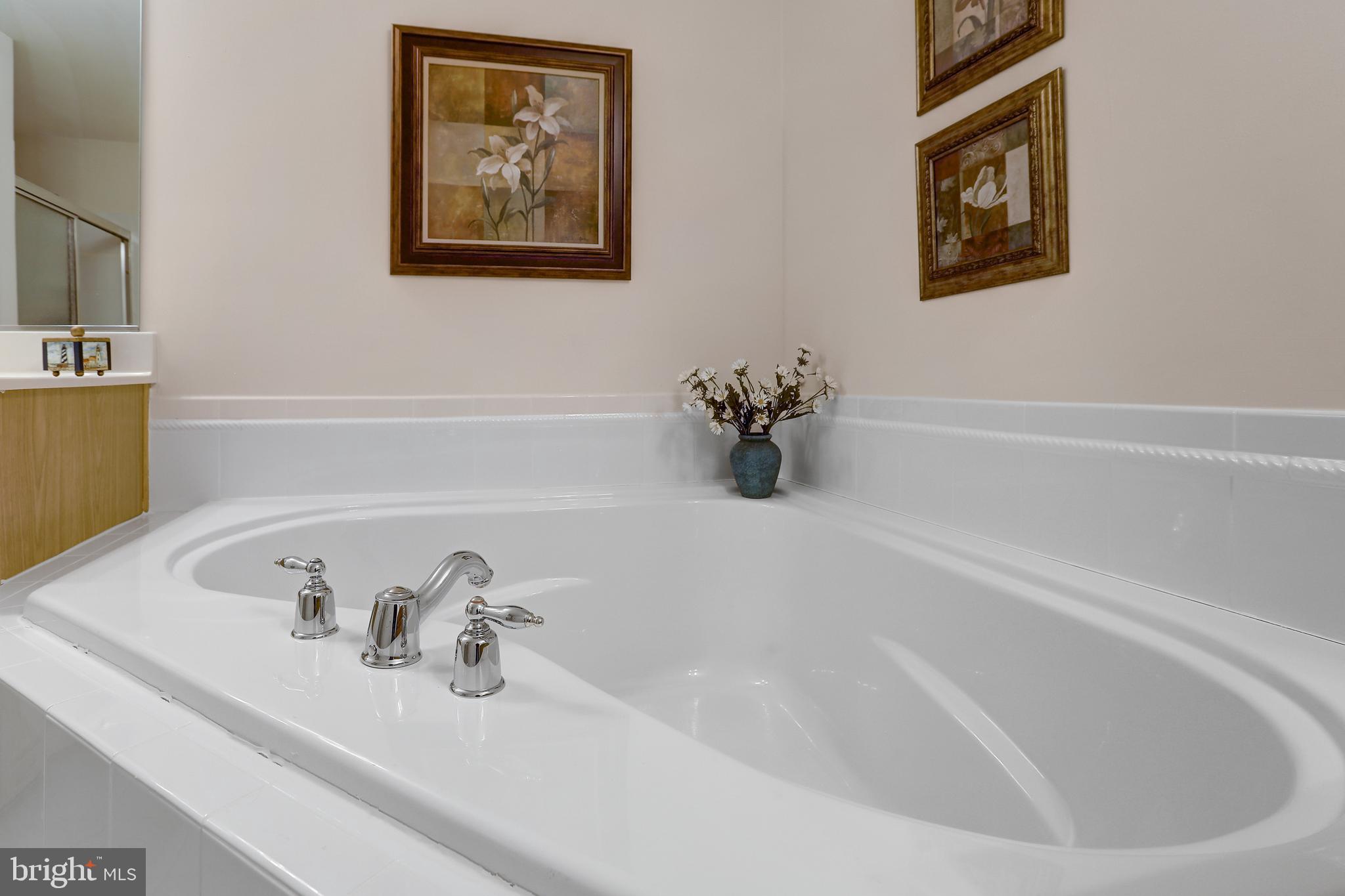 VALE MEADOWS - Residential