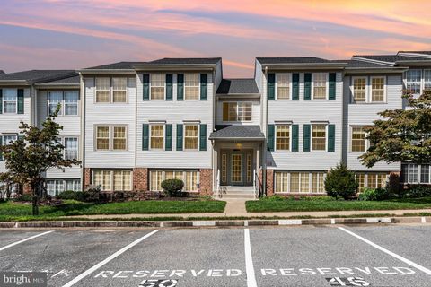 50 WHIPS 25 NOTTINGHAM MD 21236