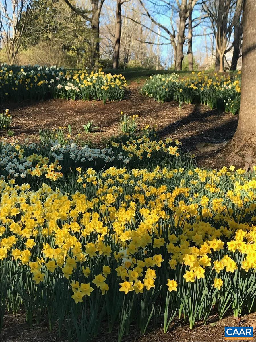EDNAM FOREST - Residential
