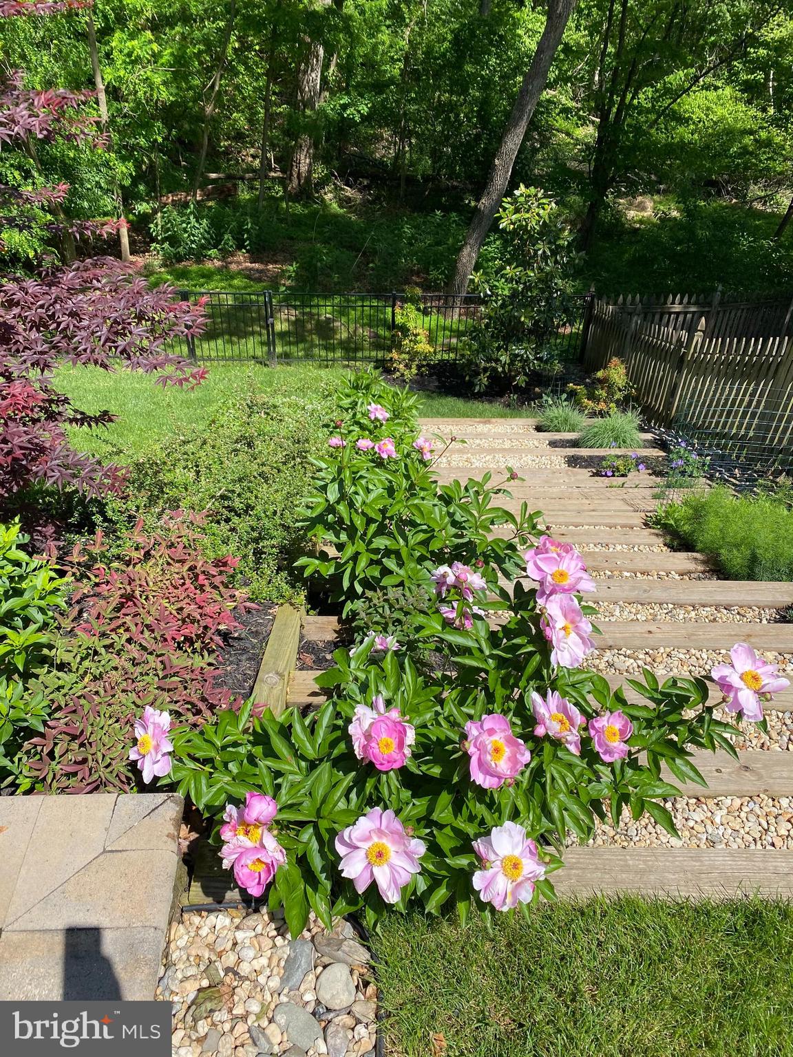 43466 SQUIRREL RIDGE PLACE