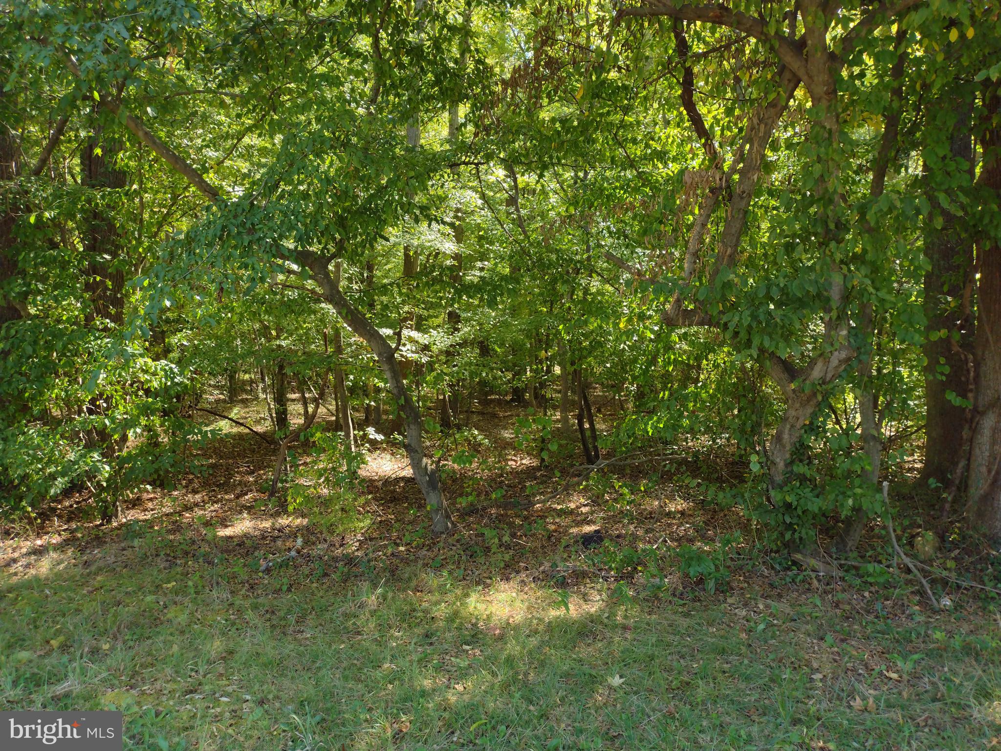 NONE AVAILABLE - Land