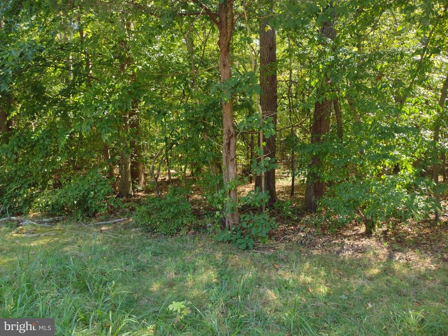 Here's the one you have been waiting for, 8.25 Acres located on Turkey Point Rd. Build your dream house here with room to spare. Property could be subdivided, but due to some wetlands it may take some time to get the needed permits. The county has told us, it's good for a single family residence.  This is a buy! Priced to sell now. Right community, right area, Mayo school, just across the street from May United Methodist Church.