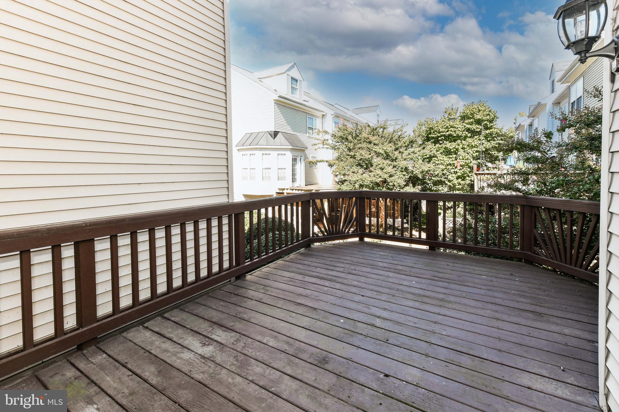 3819 DOMINION MILL DRIVE