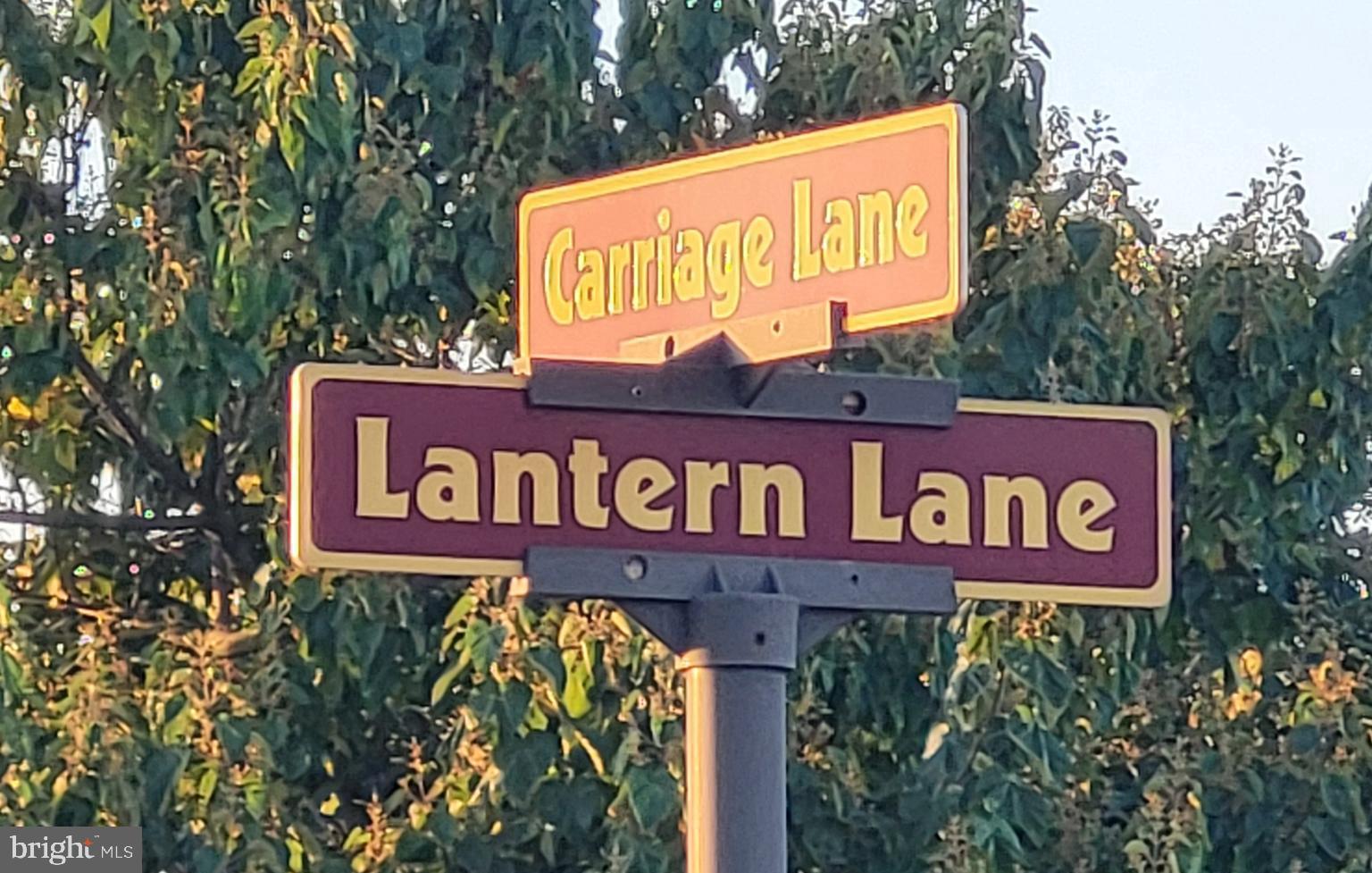 21 LANTERN LANE