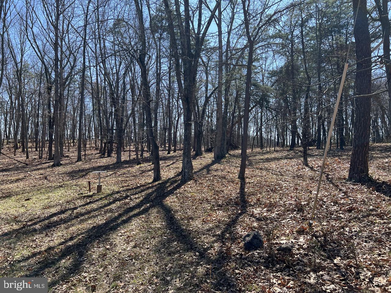 POTOMAC ISLAND RIDGE - Residential