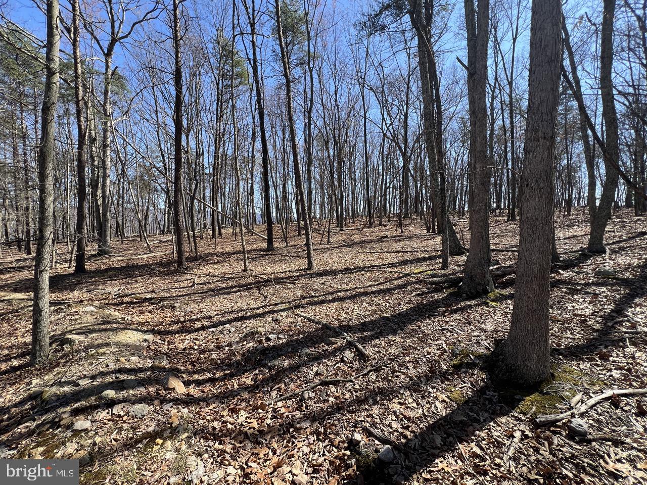 POTOMAC ISLAND RIDGE - Residential