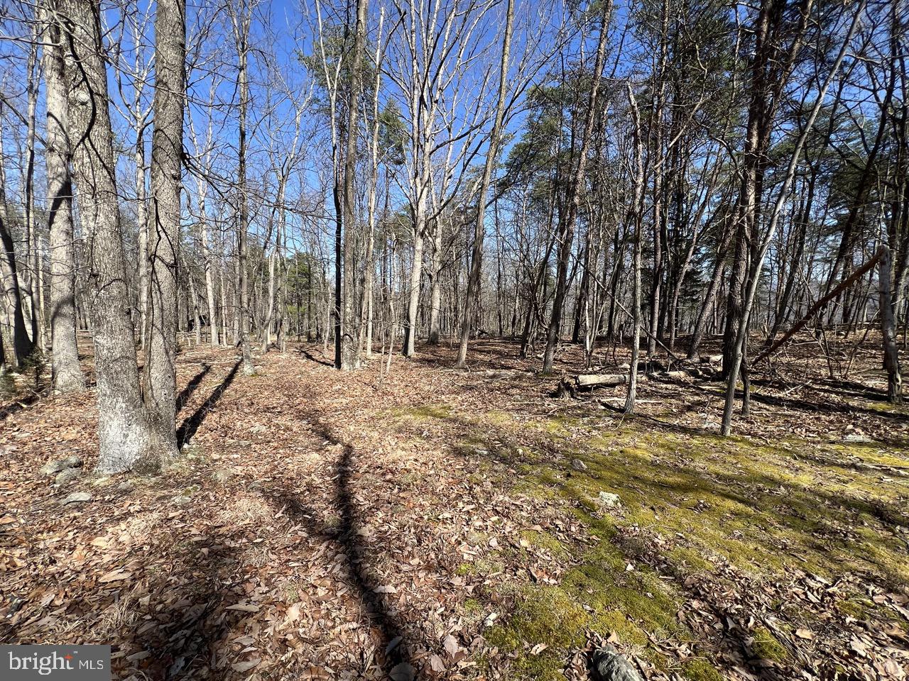 POTOMAC ISLAND RIDGE - Residential