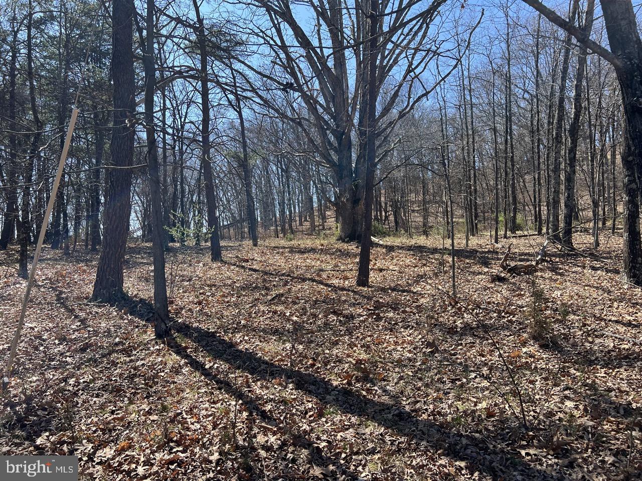 POTOMAC ISLAND RIDGE - Residential