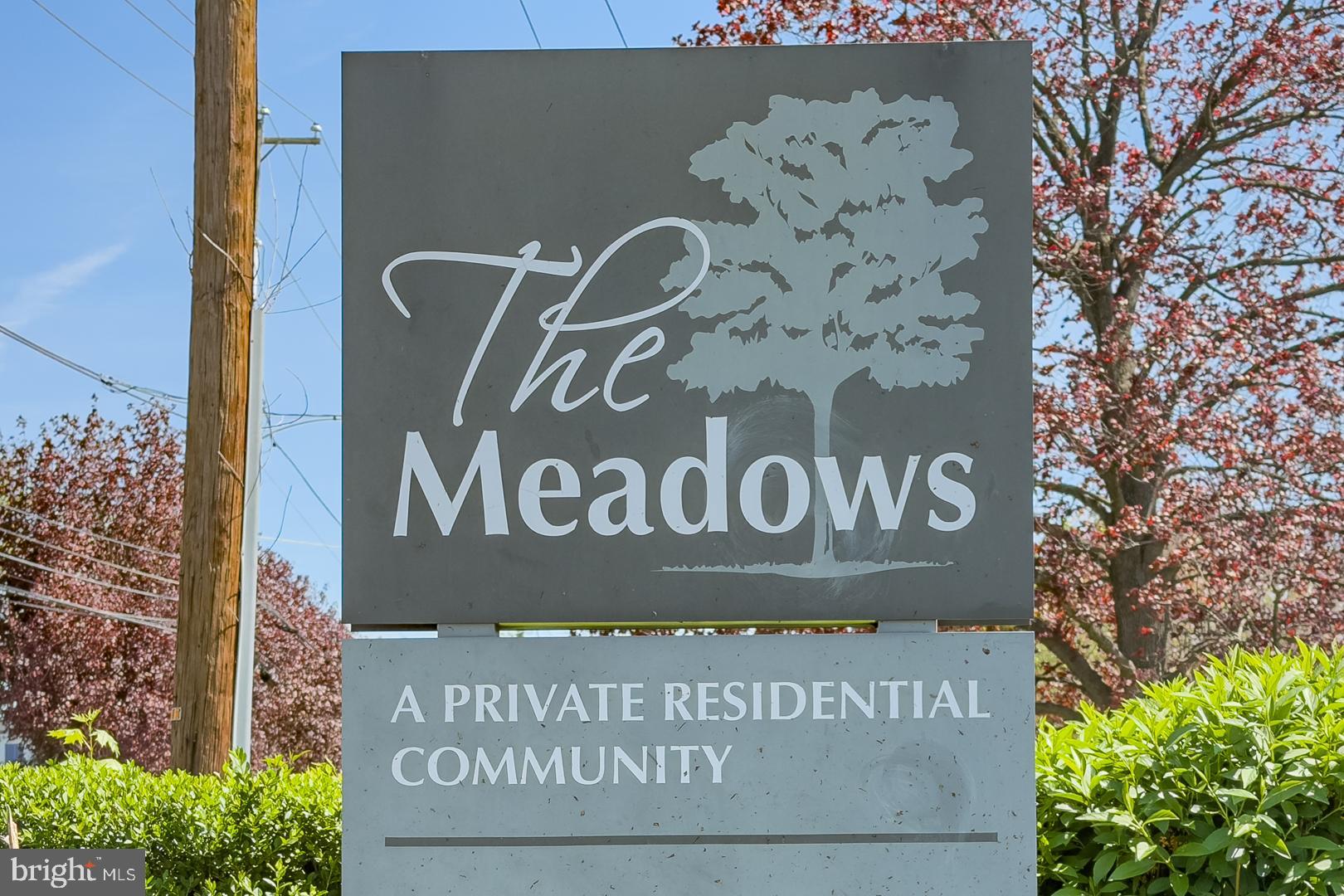 THE MEADOWS - Residential