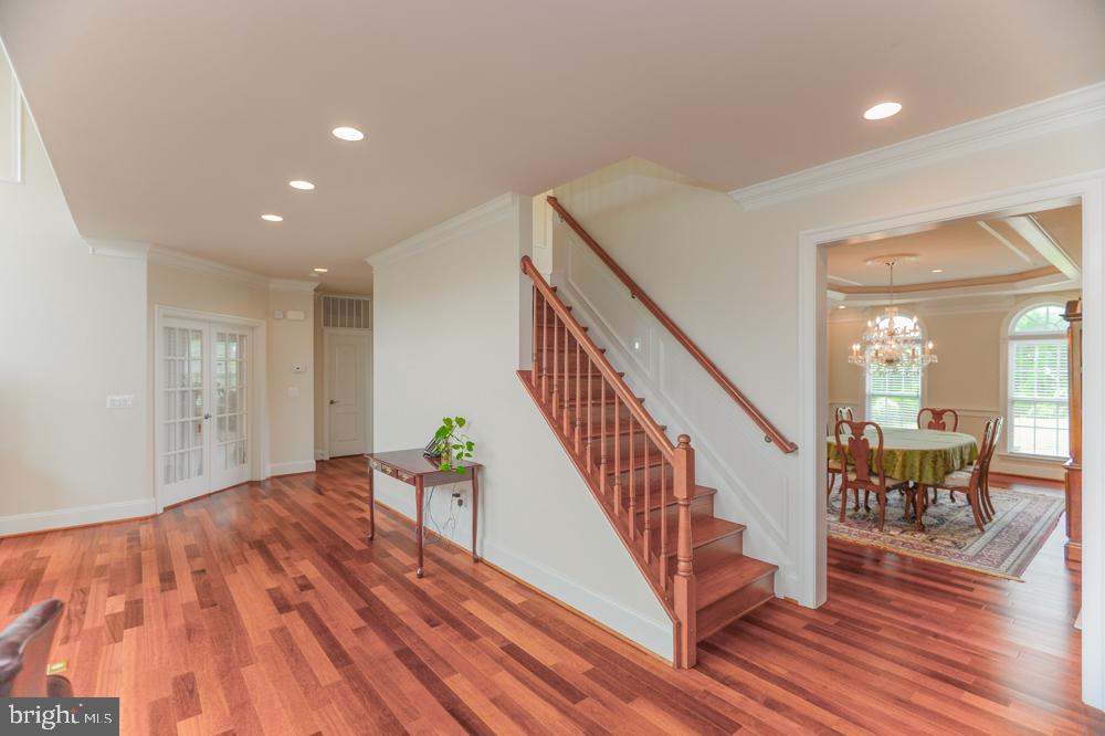 CEDAR SPRING - Residential