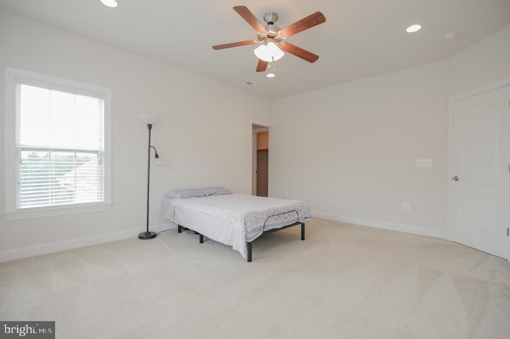 CEDAR SPRING - Residential