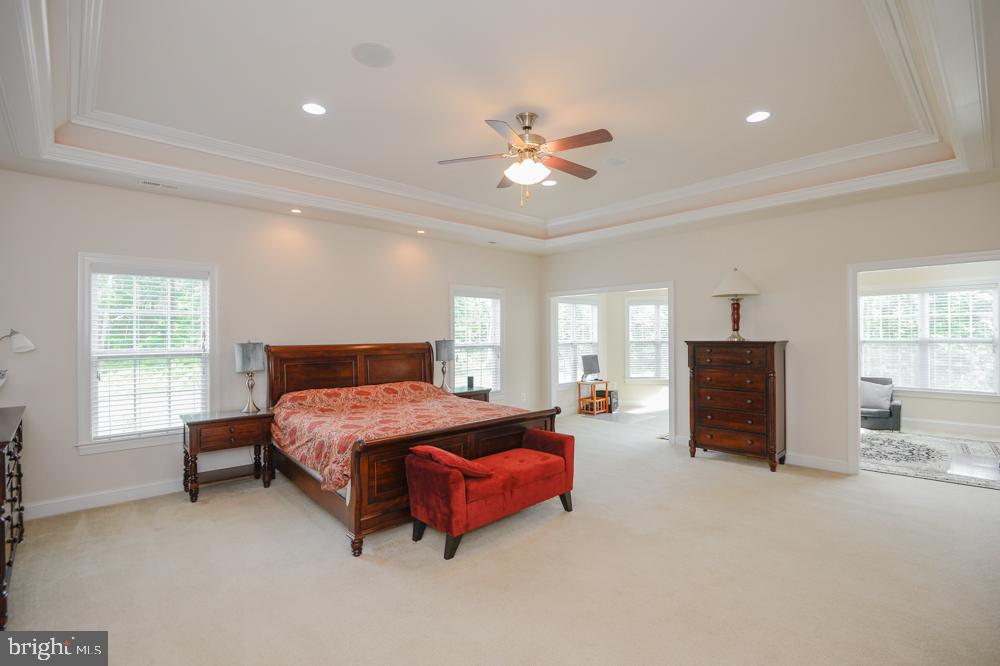 CEDAR SPRING - Residential