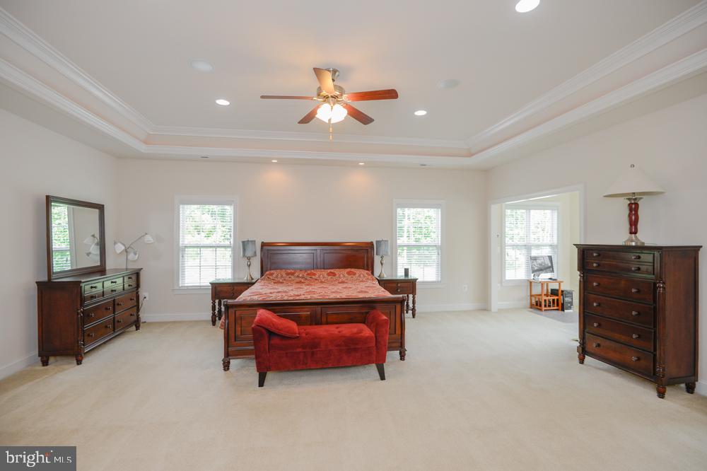 CEDAR SPRING - Residential