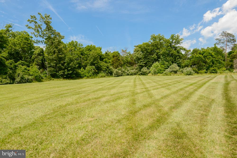 CEDAR SPRING - Residential