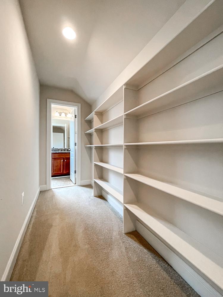 CEDAR SPRING - Residential