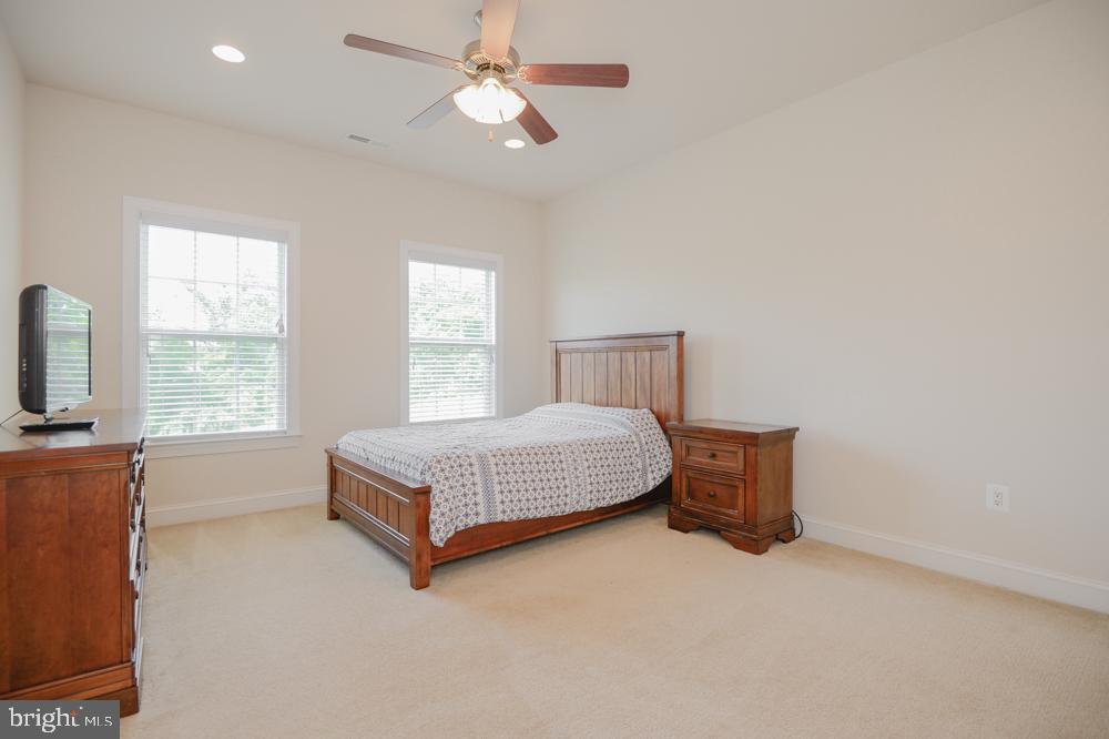 CEDAR SPRING - Residential