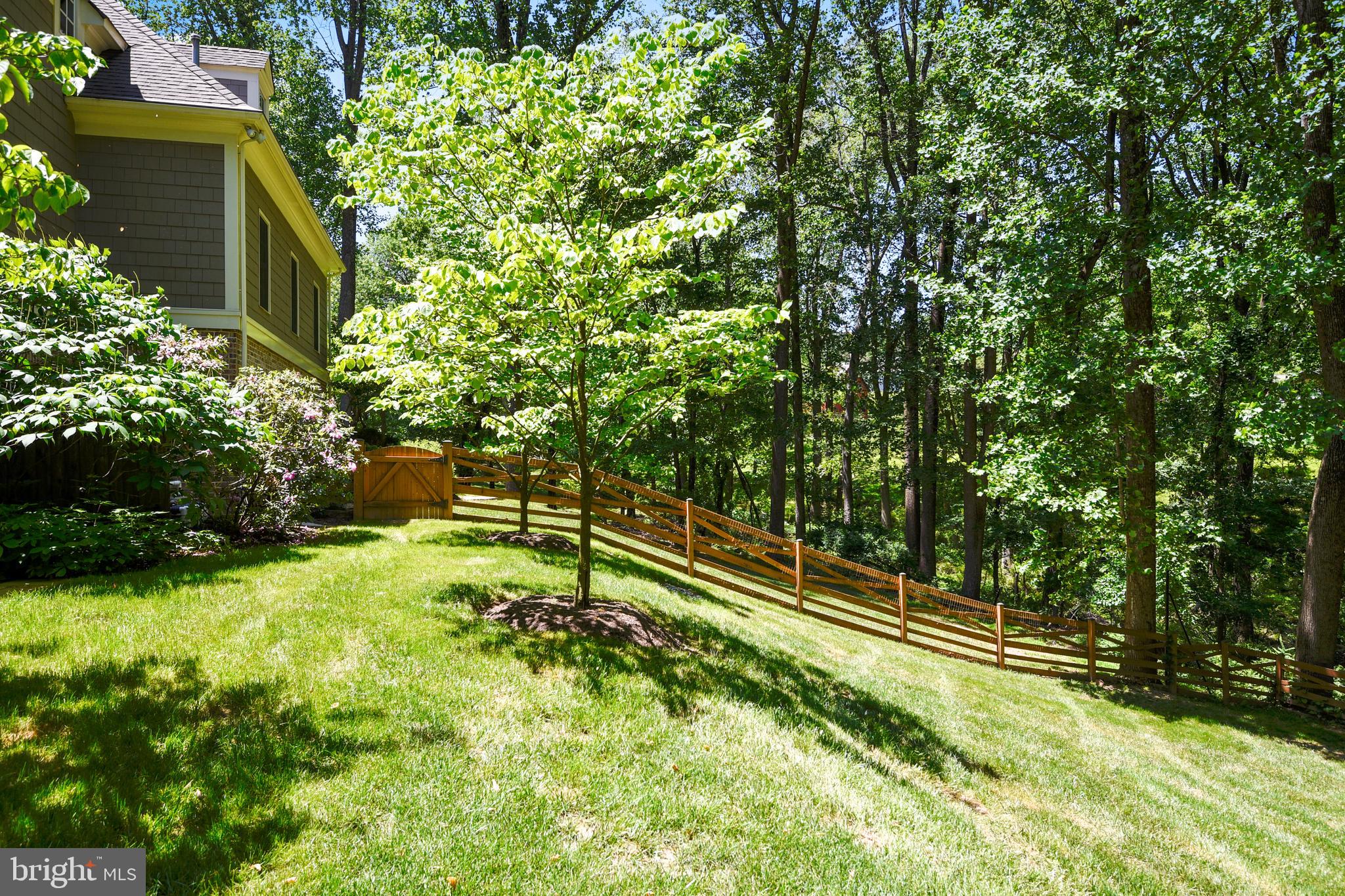 IVEY TRACE - Residential