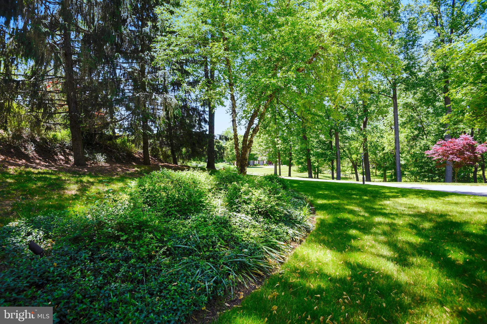 IVEY TRACE - Residential