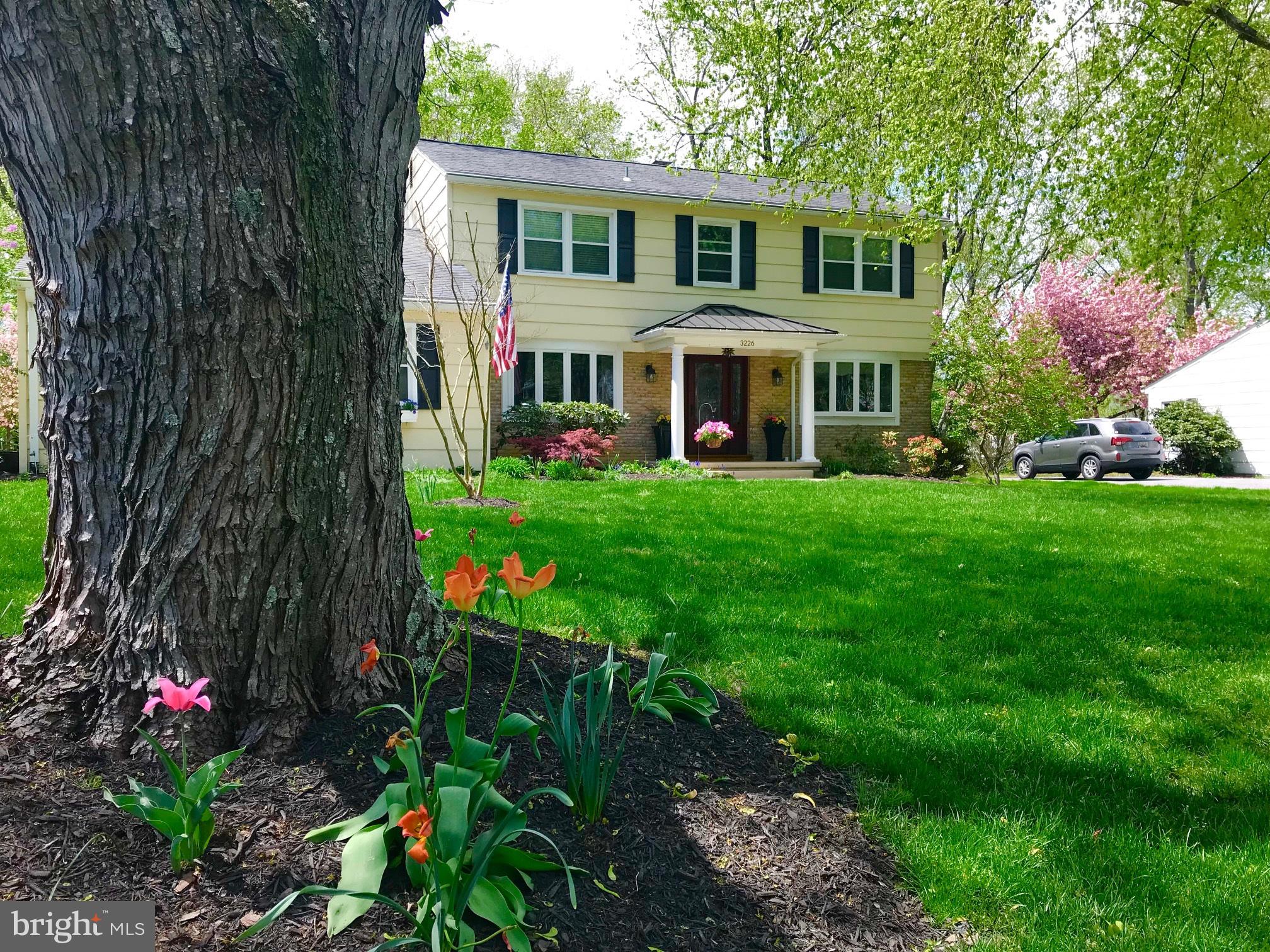 CHATHAM MEWS - Residential