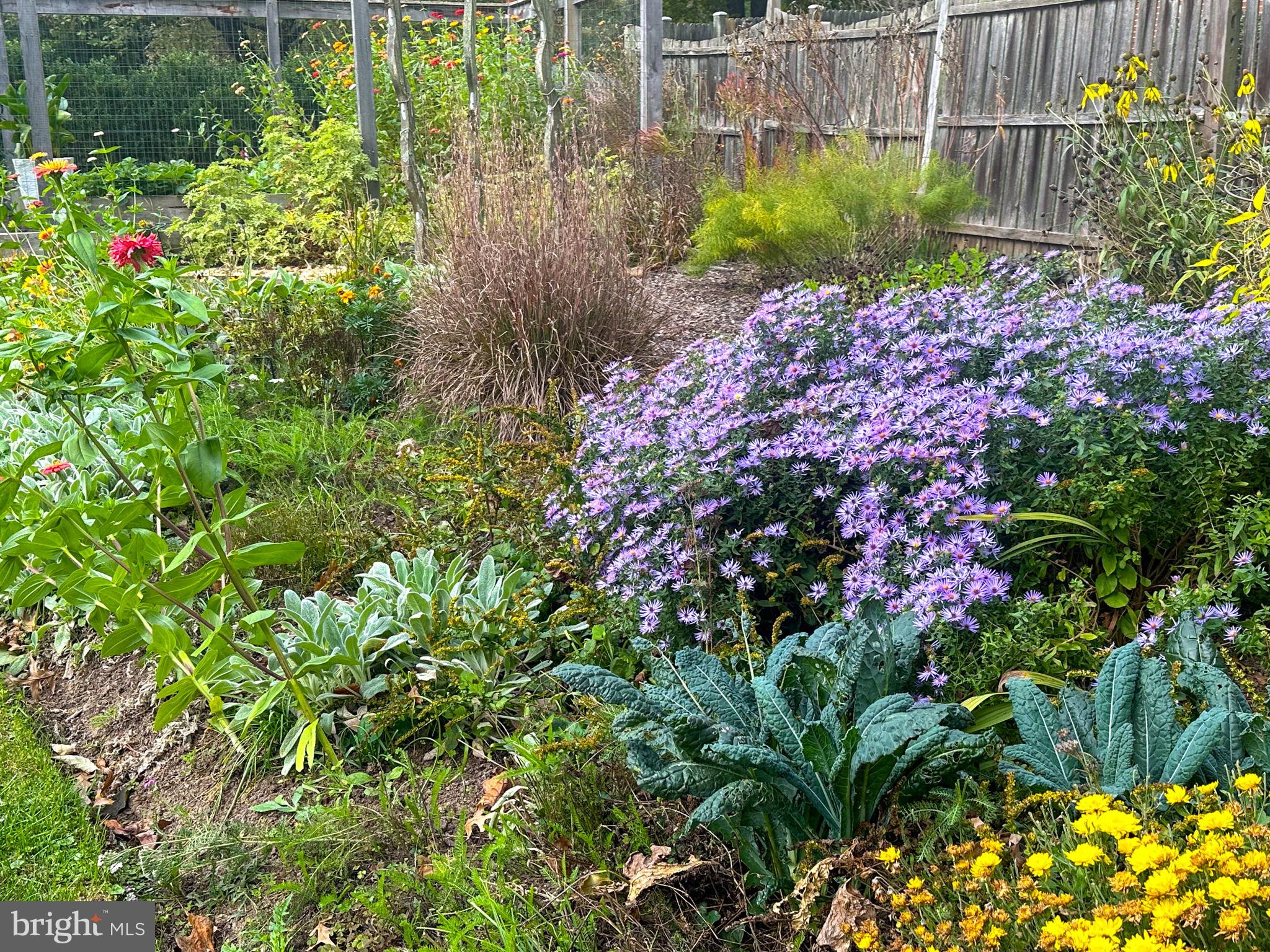 LANGLEY OAKS - Residential