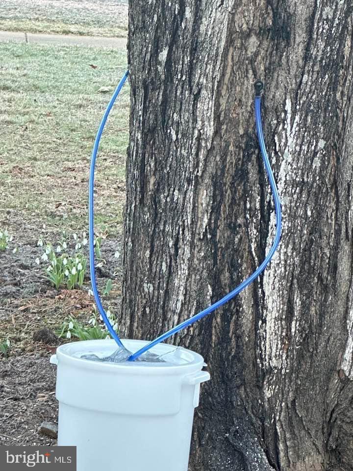 LANGLEY OAKS - Residential