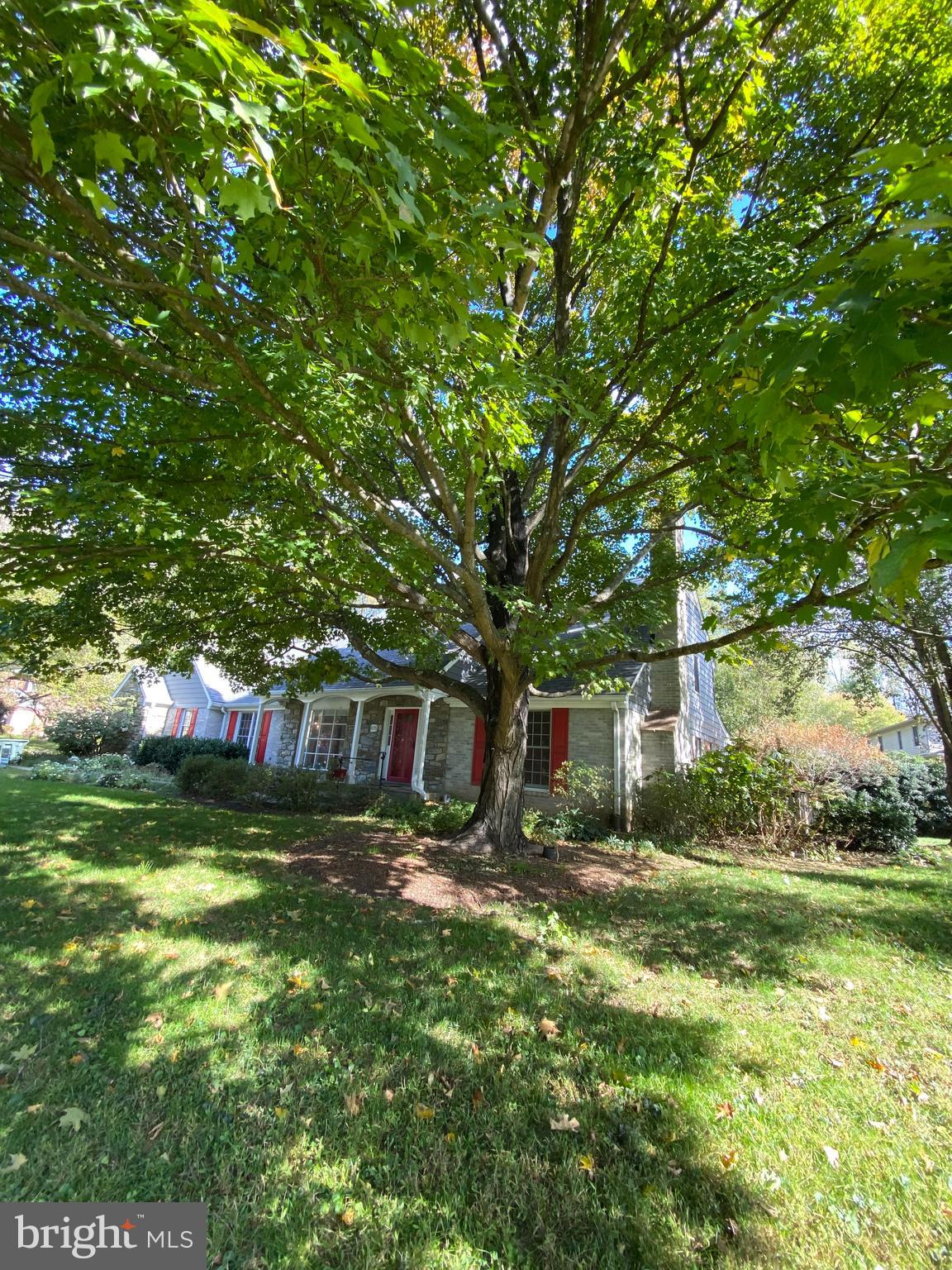 LANGLEY OAKS - Residential