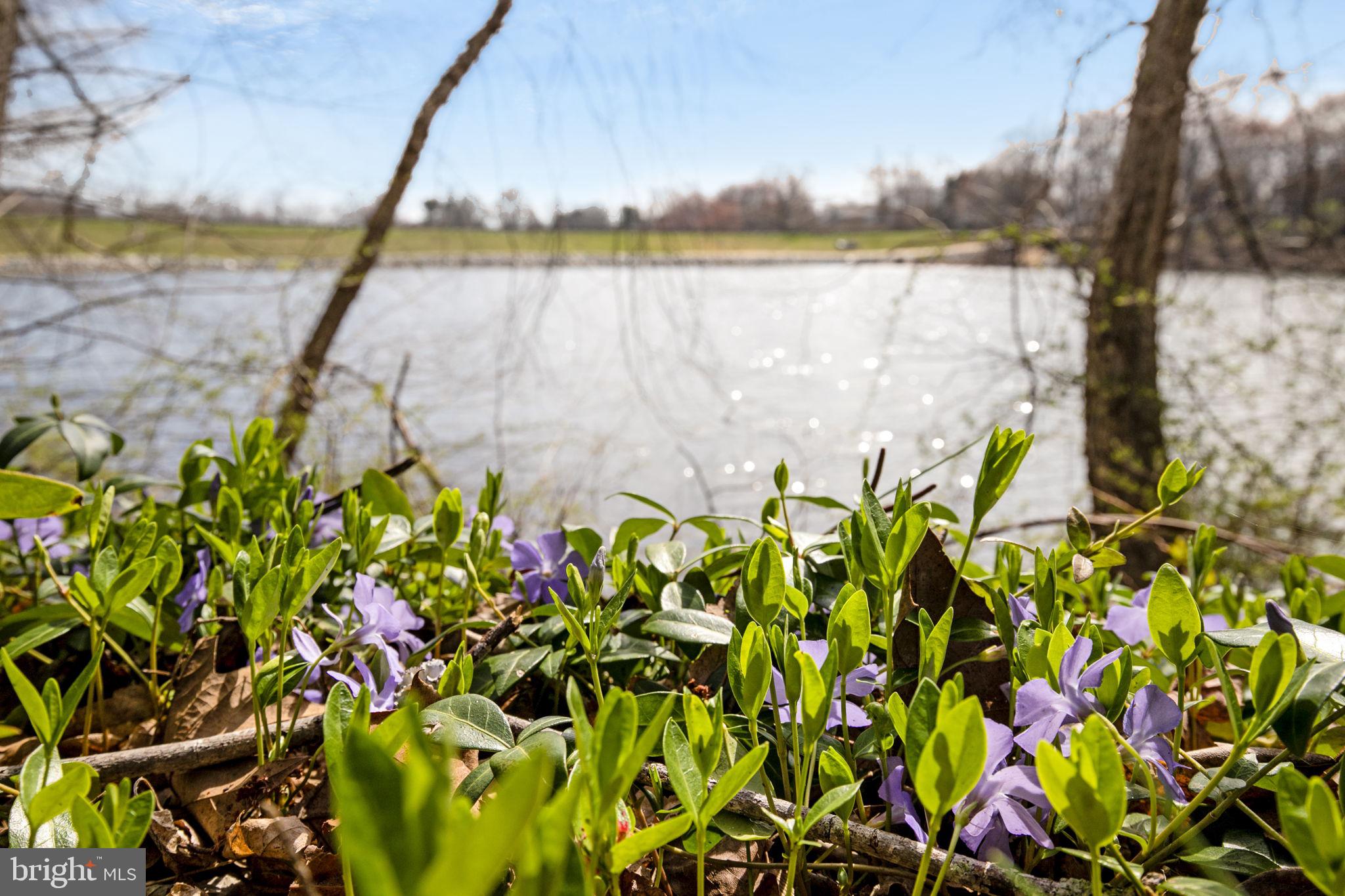 LAKELANDS - Residential